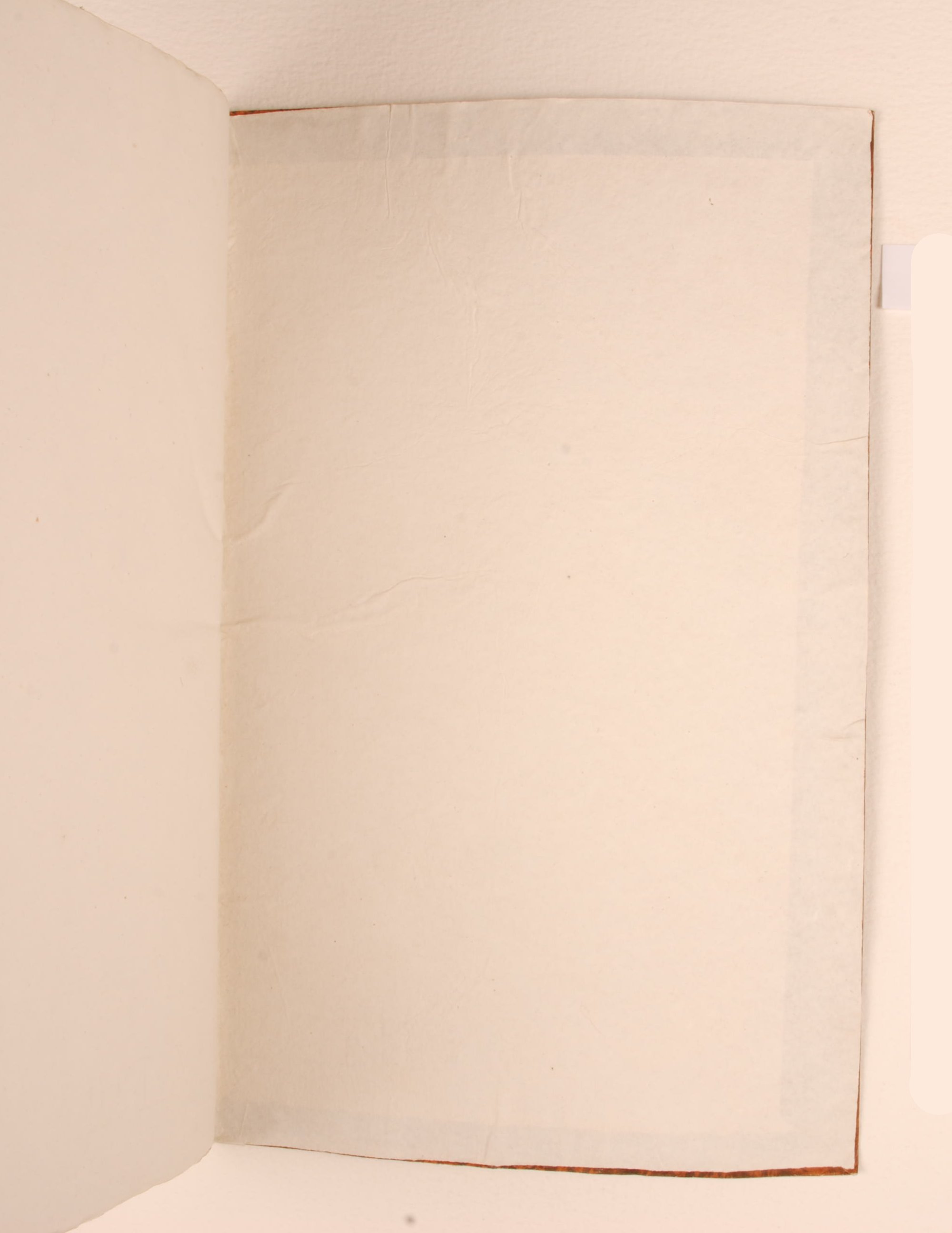 Pag. controguardia piatto posteriore