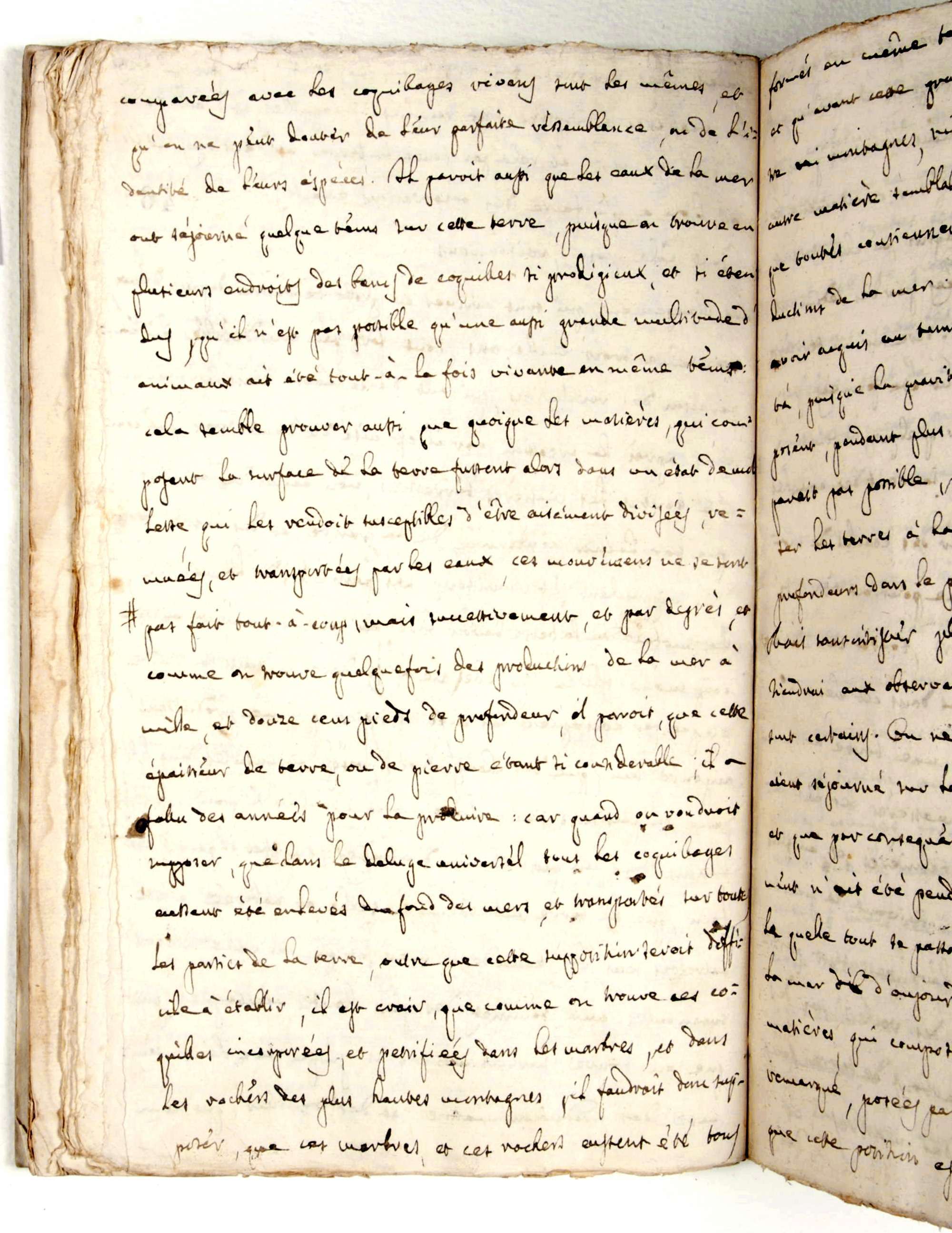Pag. 46v