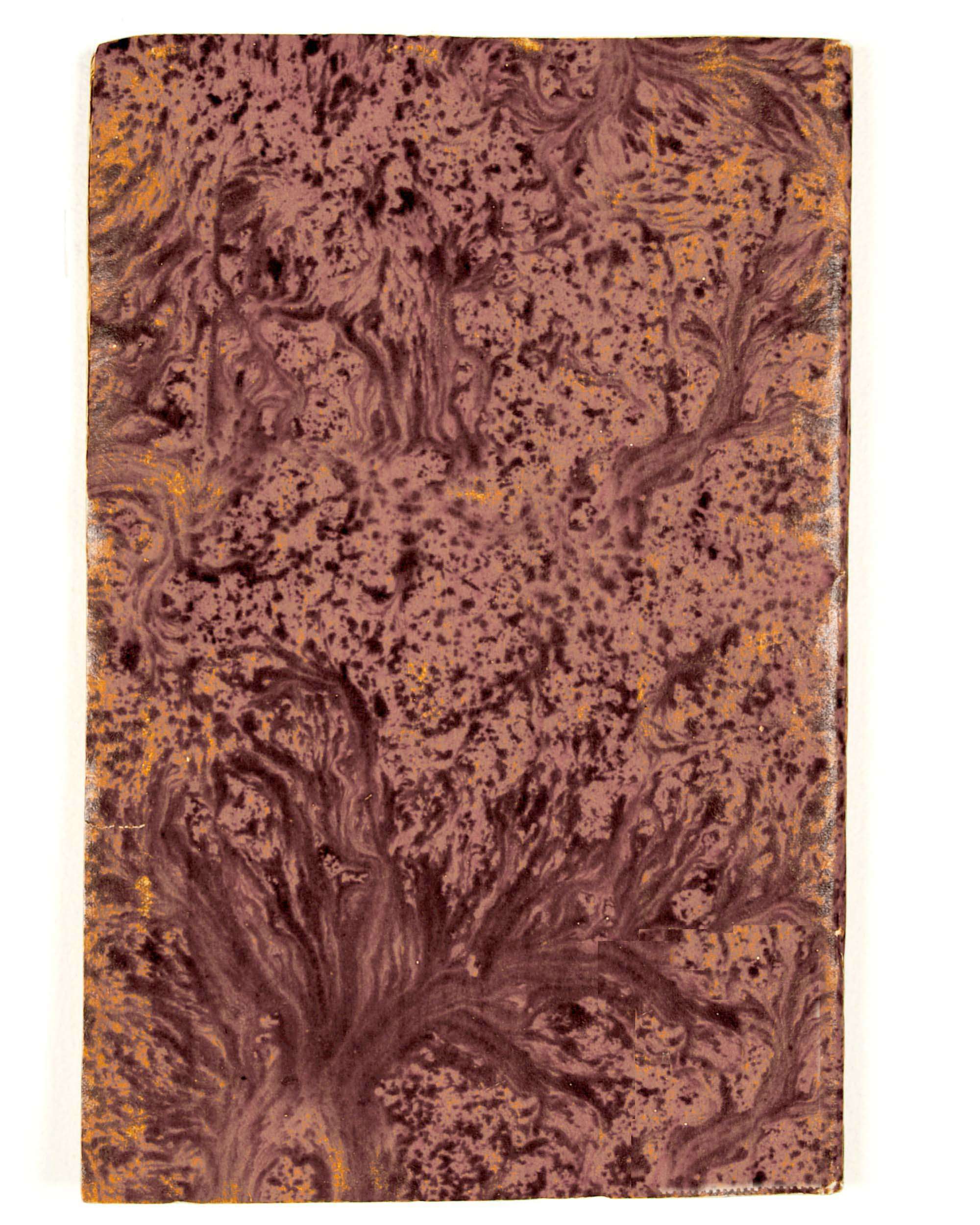 Pag. piatto posteriore