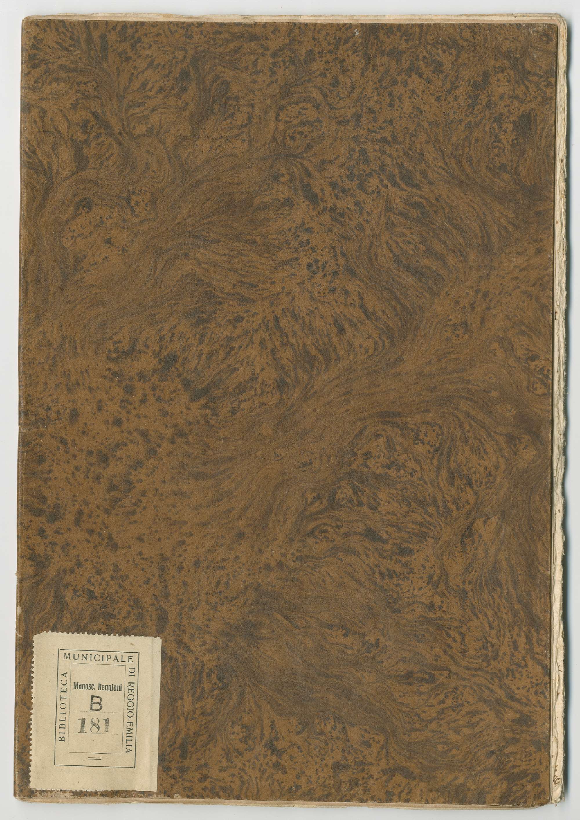 Pag. piatto_anteriore