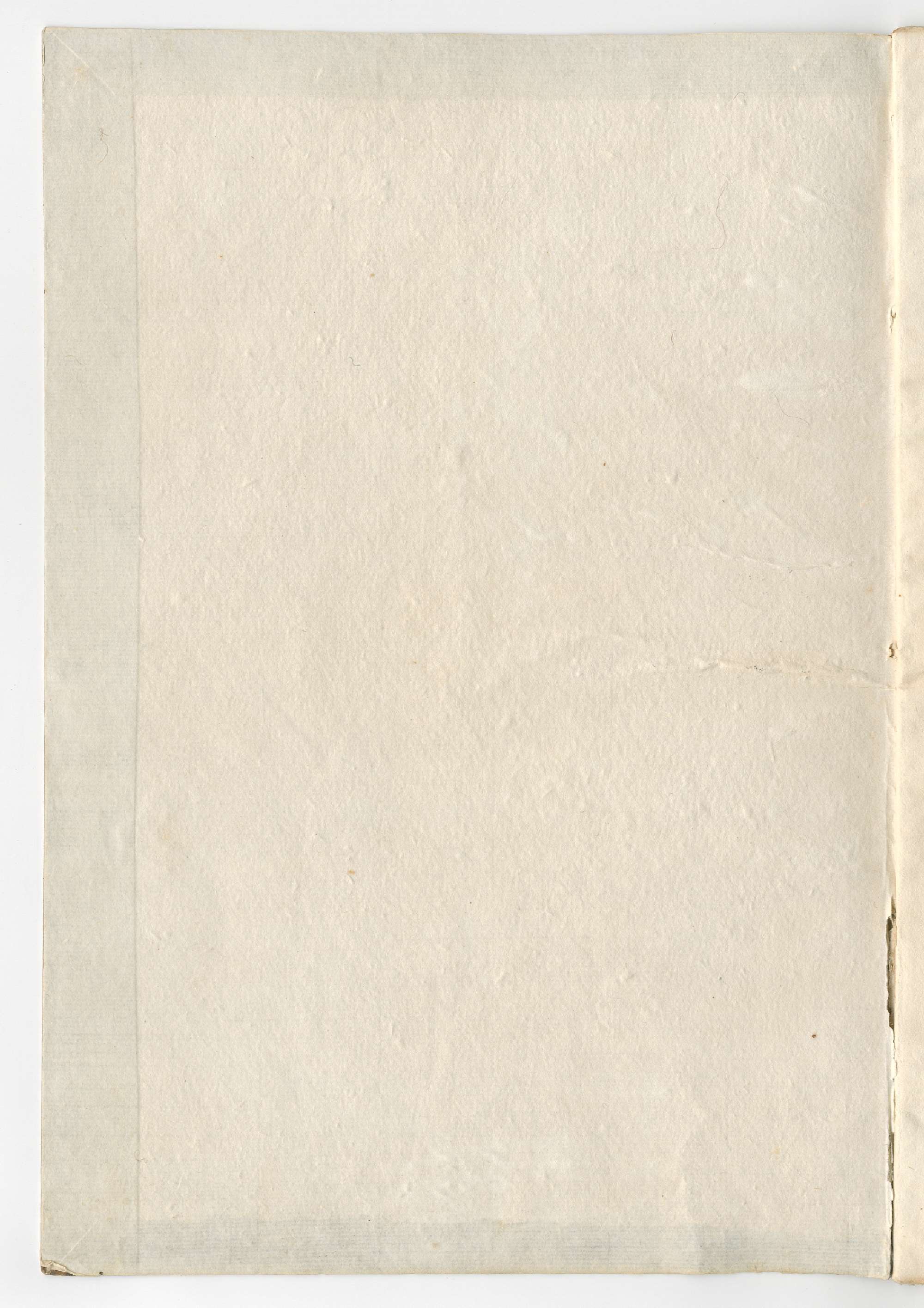 Pag. contropiatto_anteriore