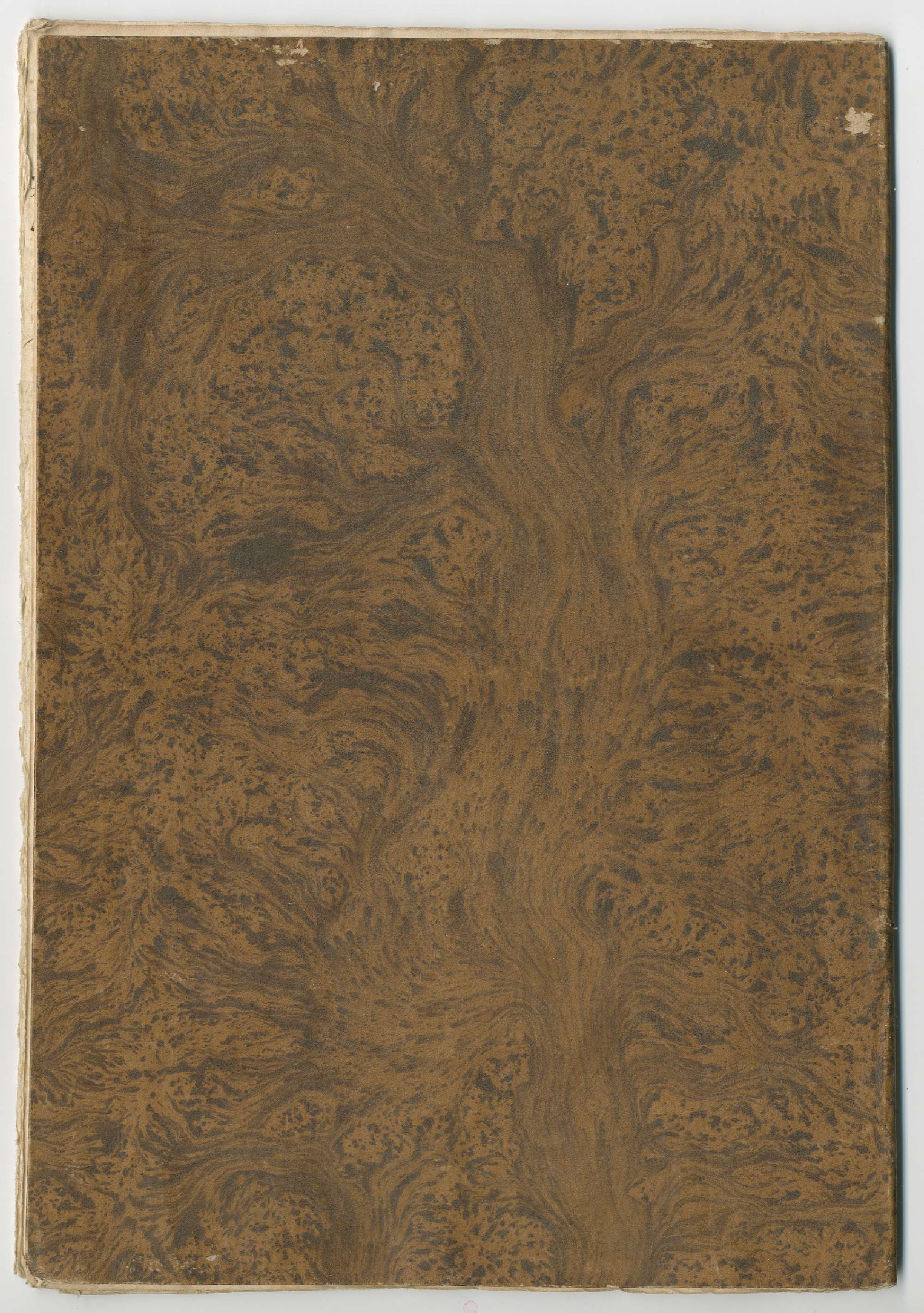 Pag. cop_piatto_post