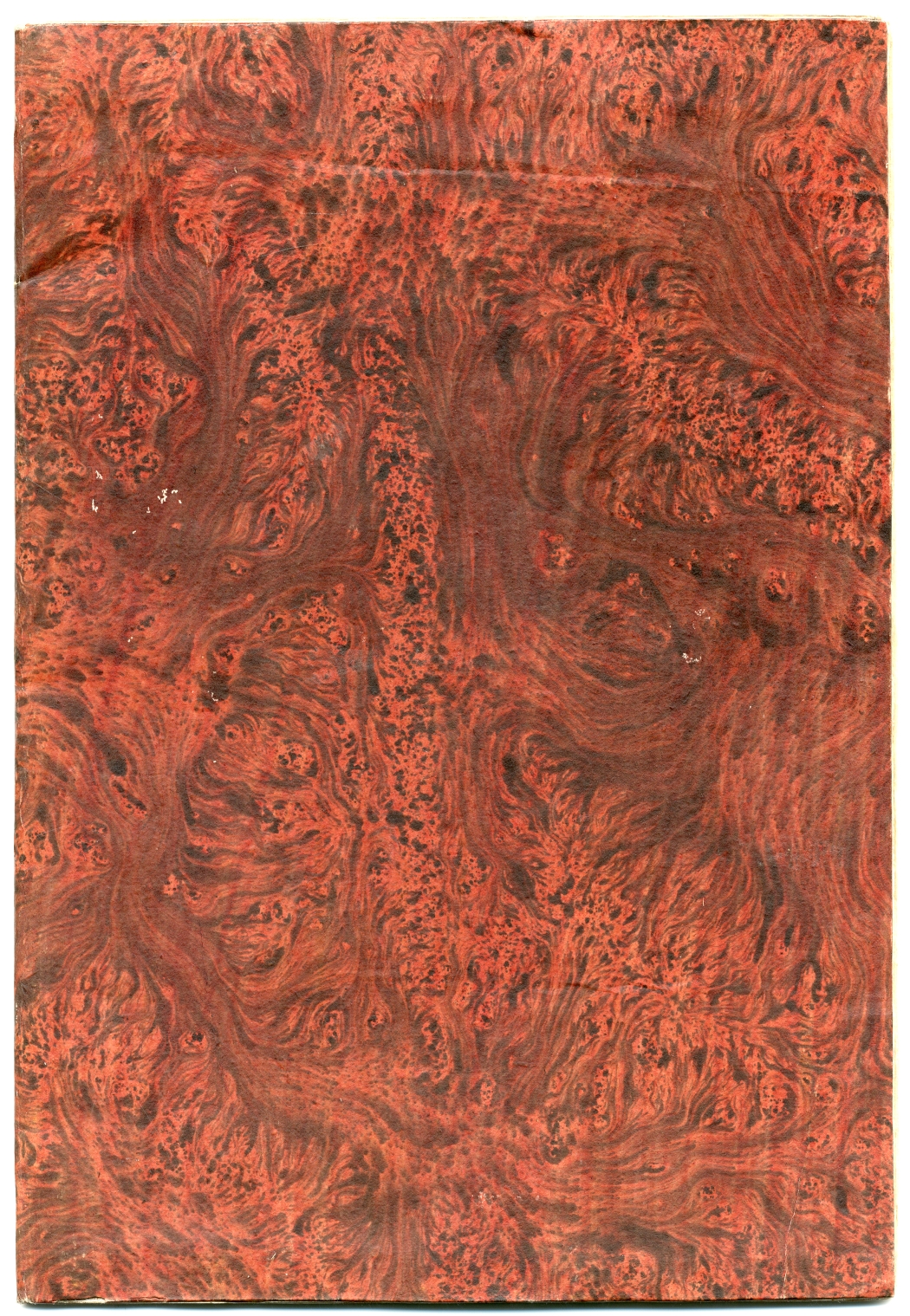 Pag. piatto_posteriore