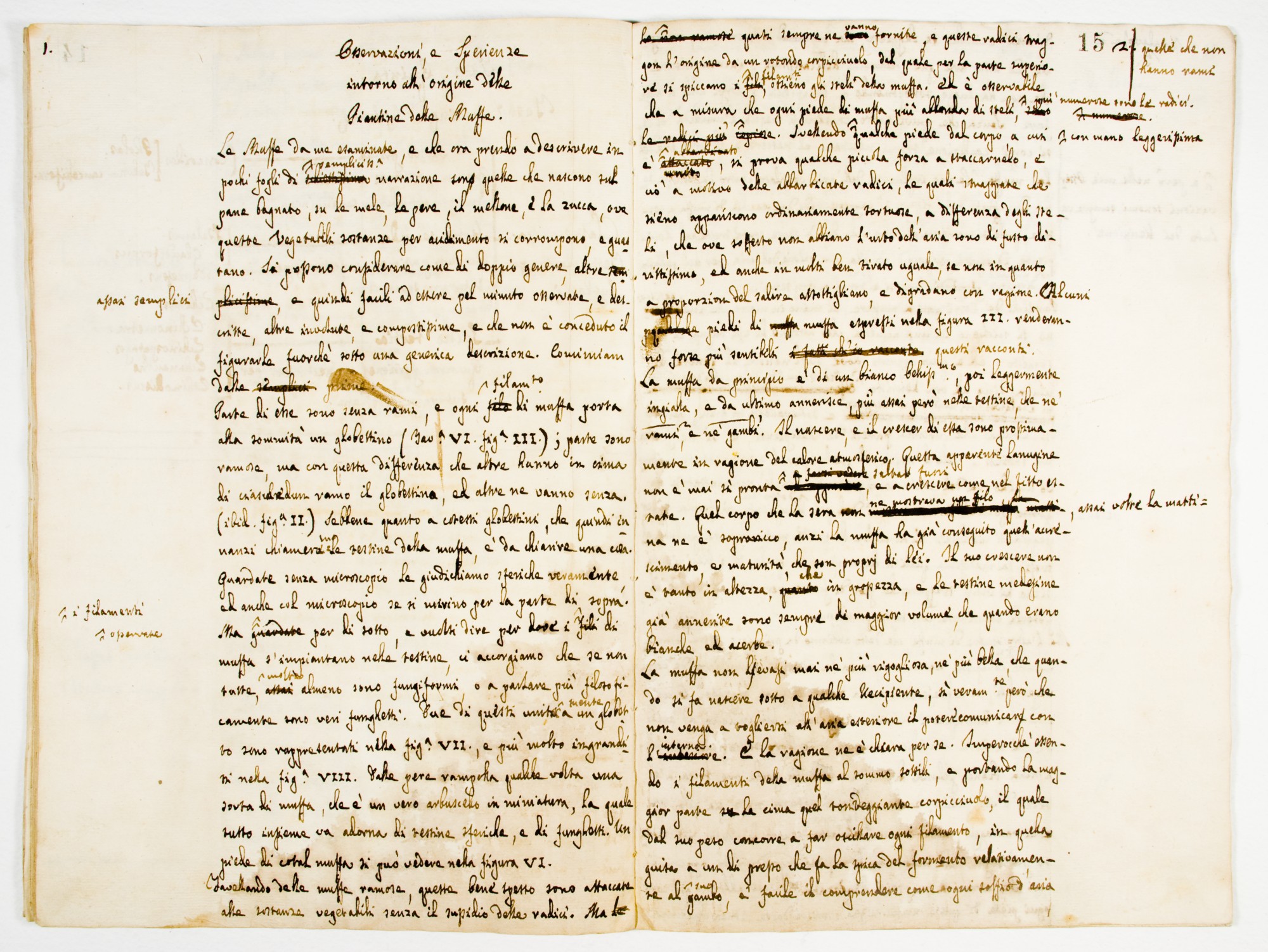 Pag. 15