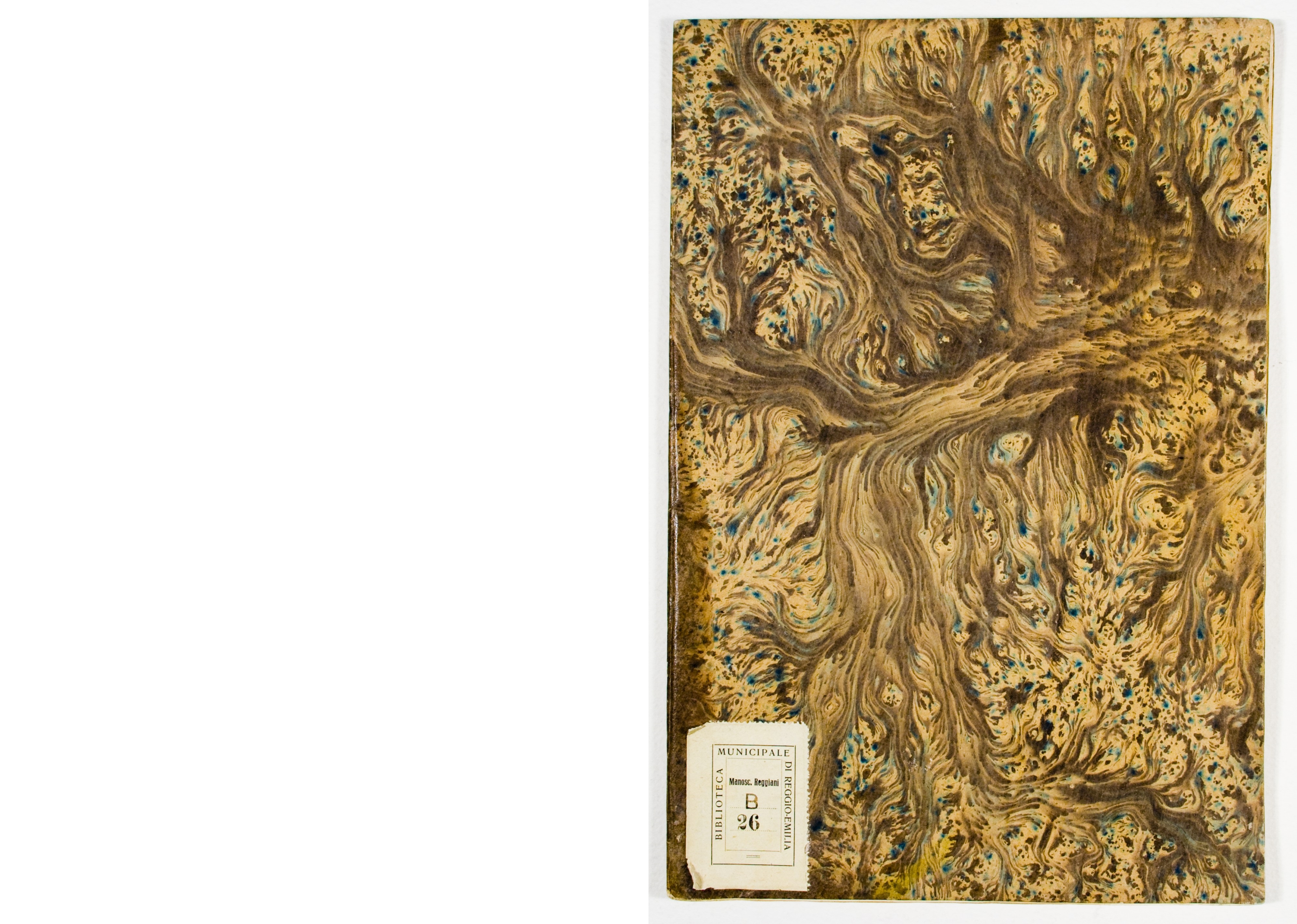 Pag. piatto anteriore