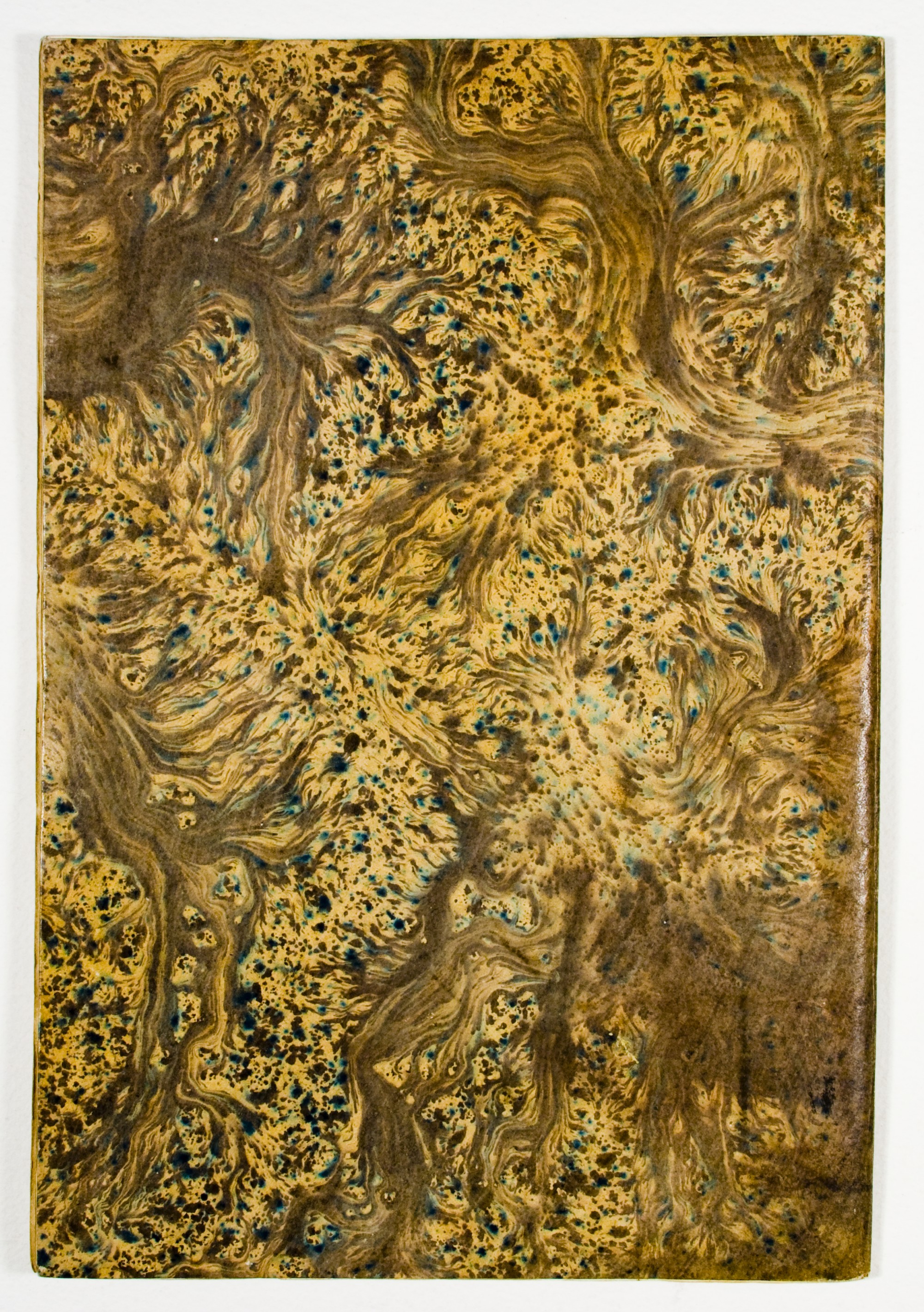 Pag. piatto posteriore