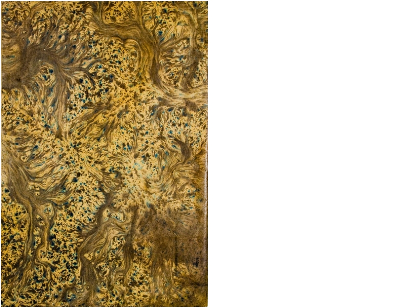 Pag. piatto posteriore