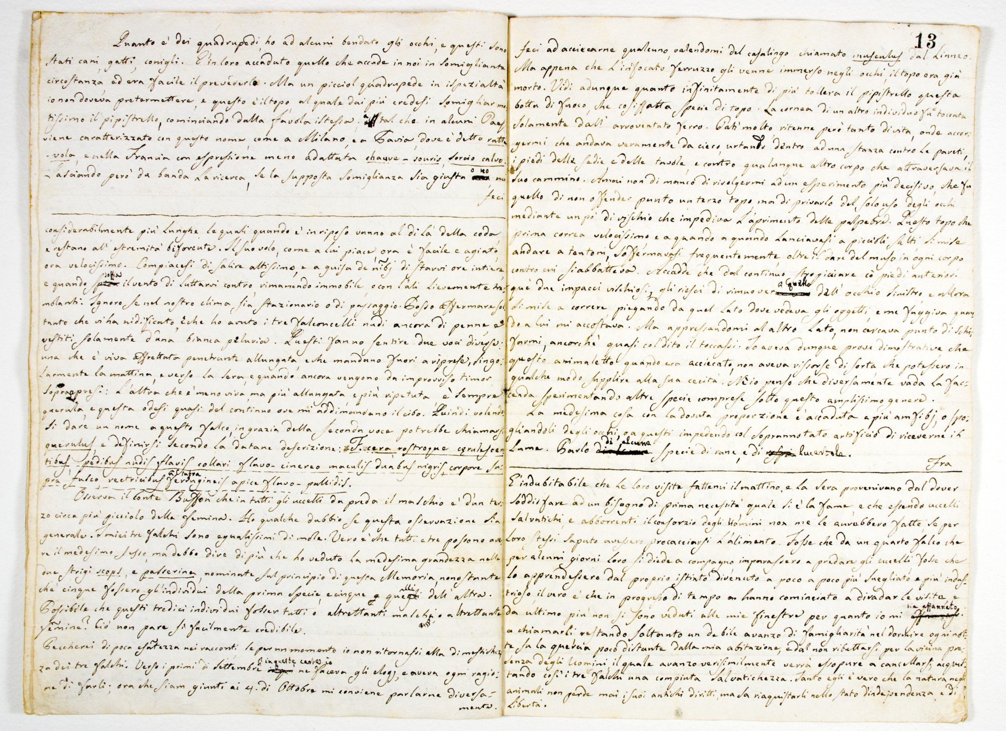 Pag. 13