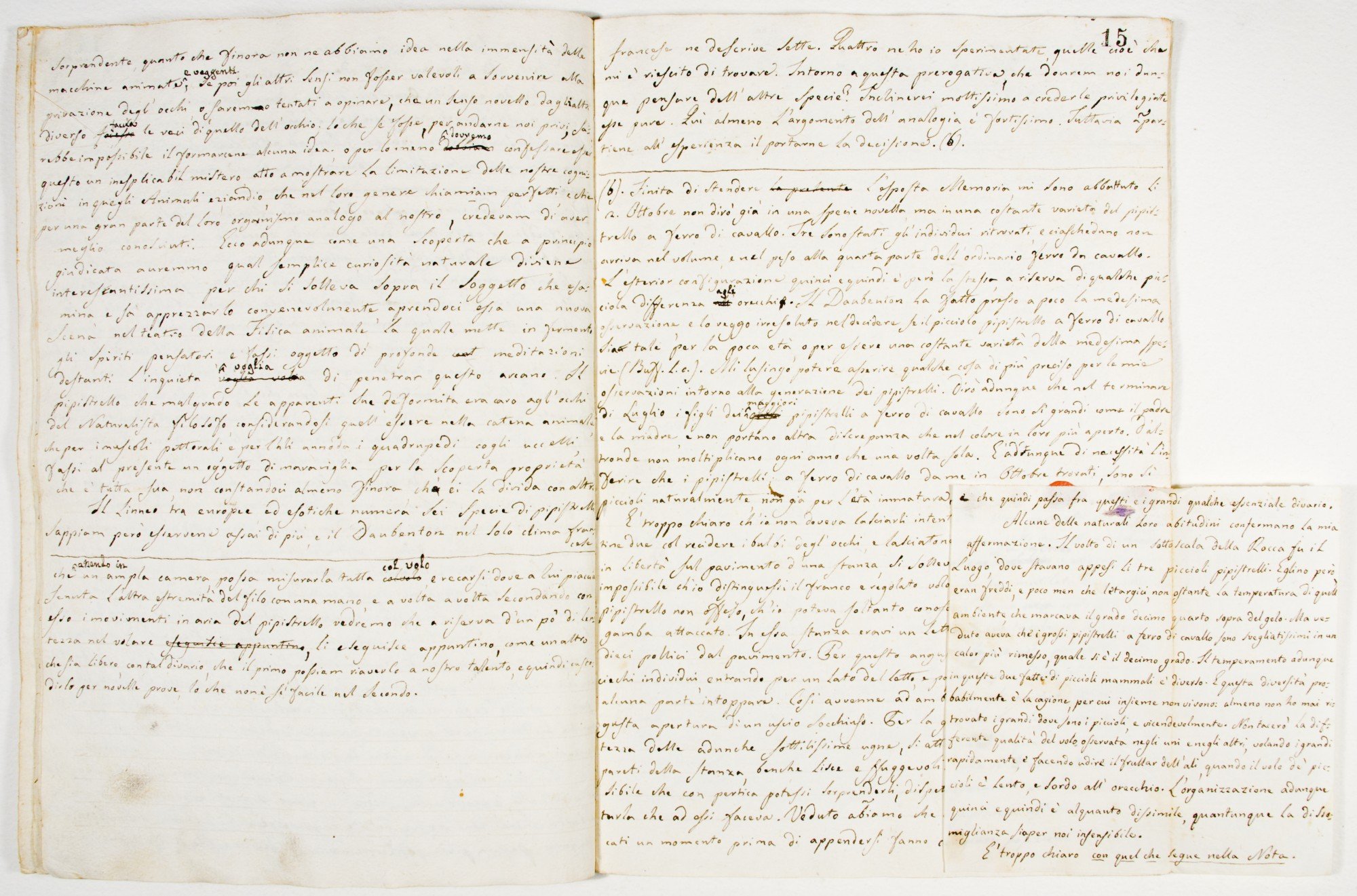 Pag. 15 carta aggiunta