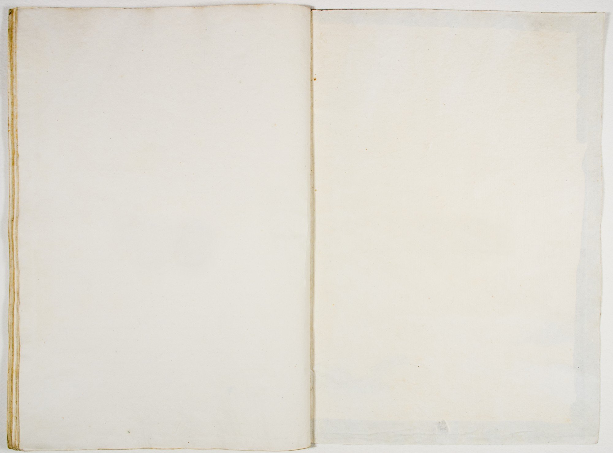 Pag. controguardia piatto posteriore