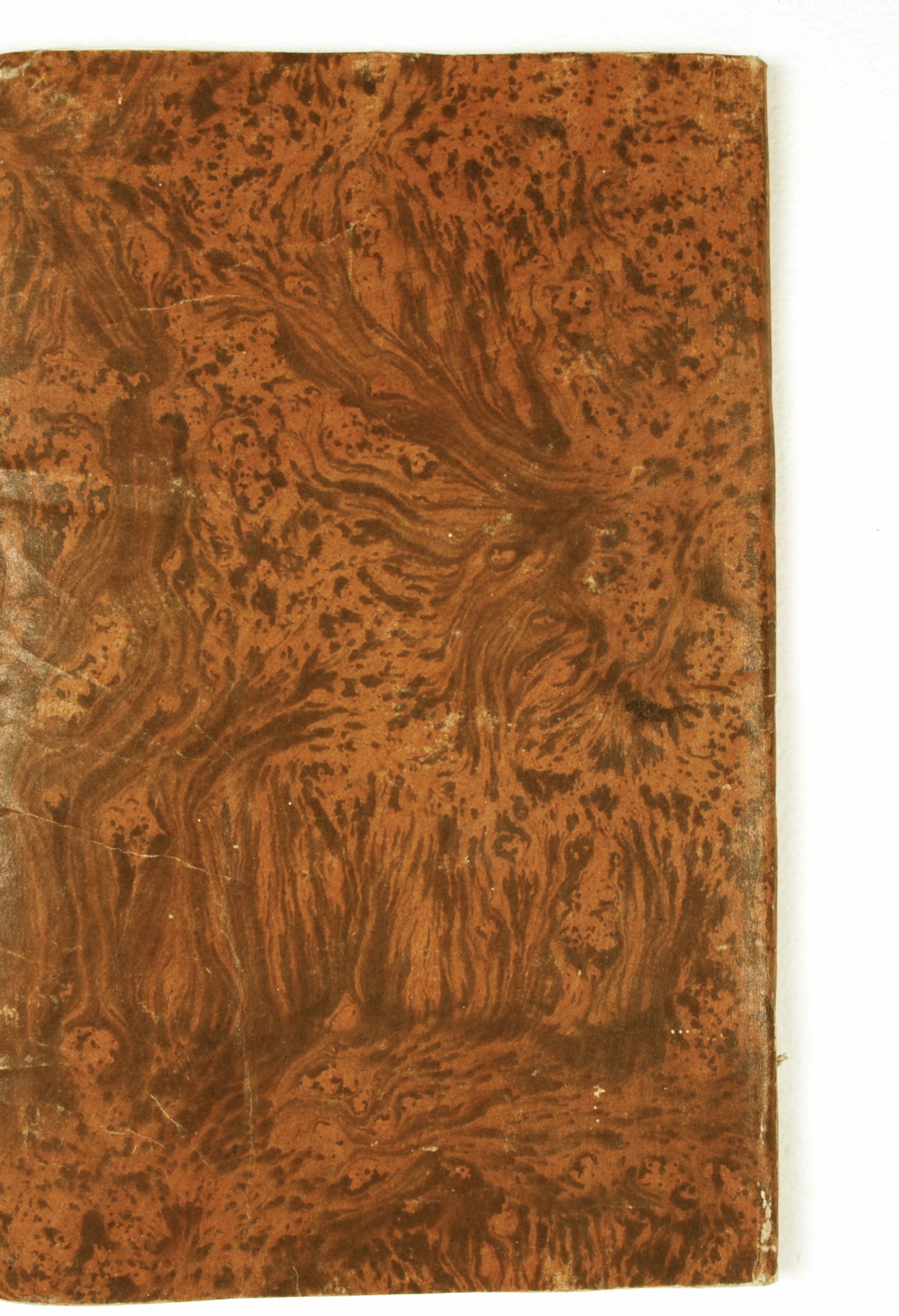 Pag. piatto posteriore