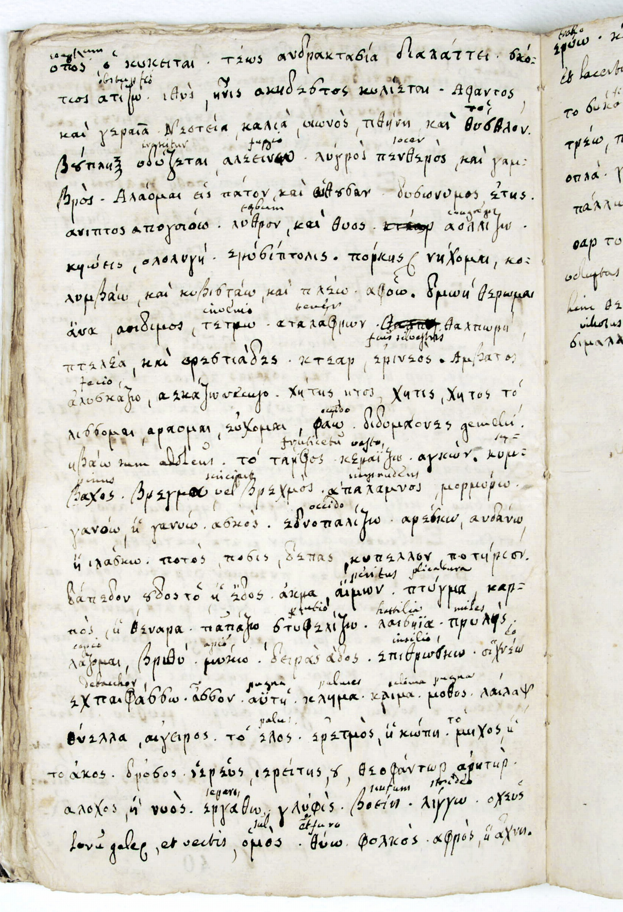 Pag. 40v