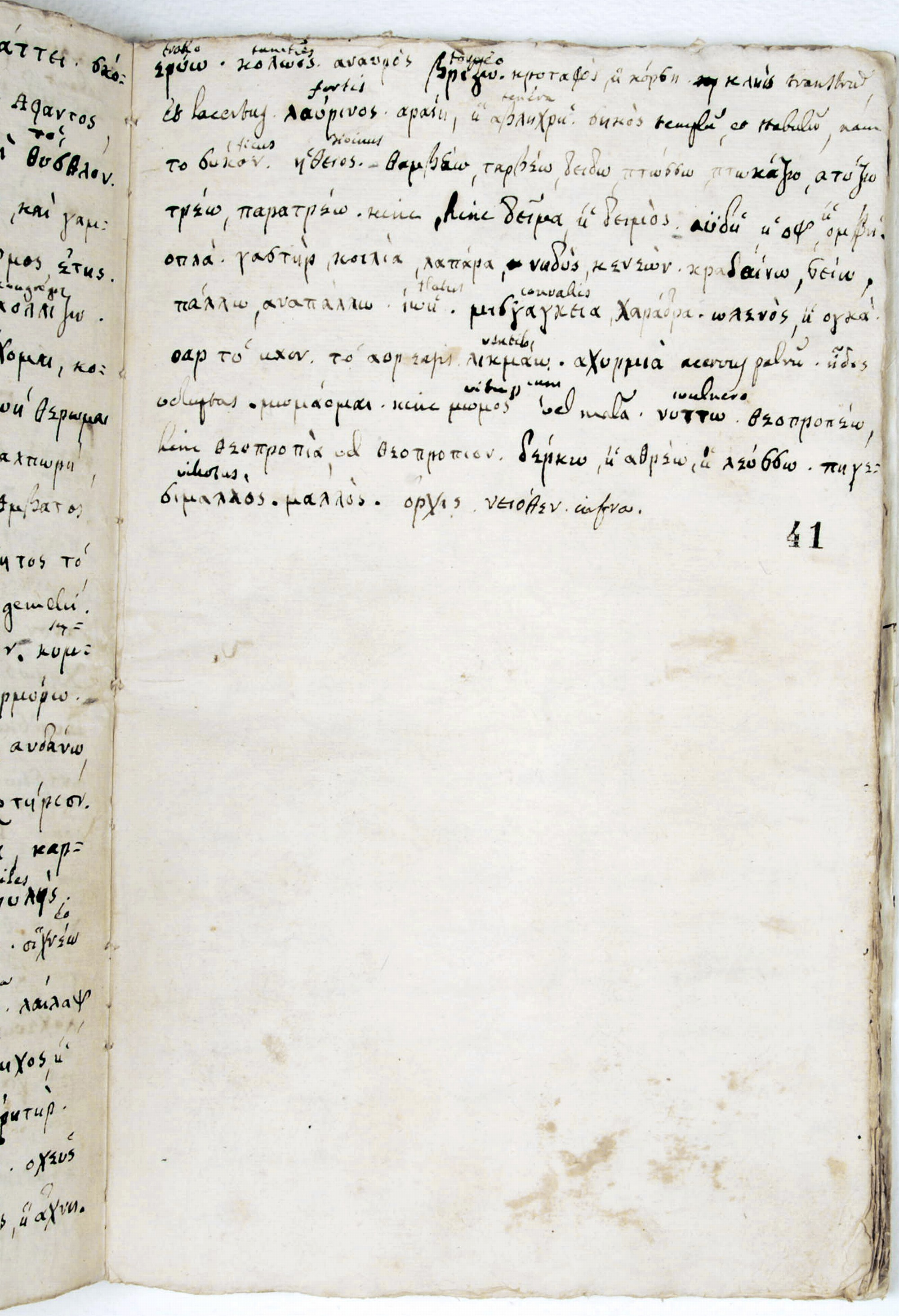 Pag. 41r