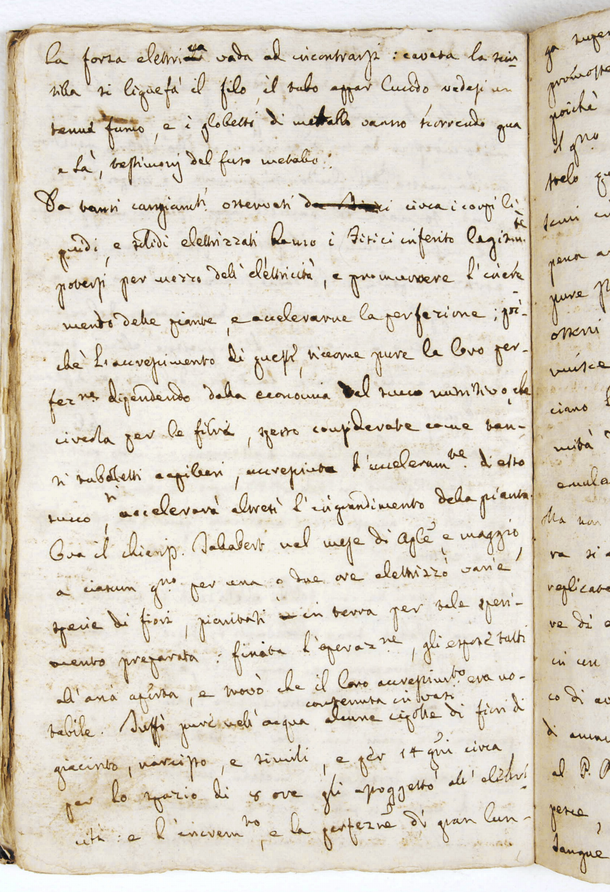 Pag. 46v