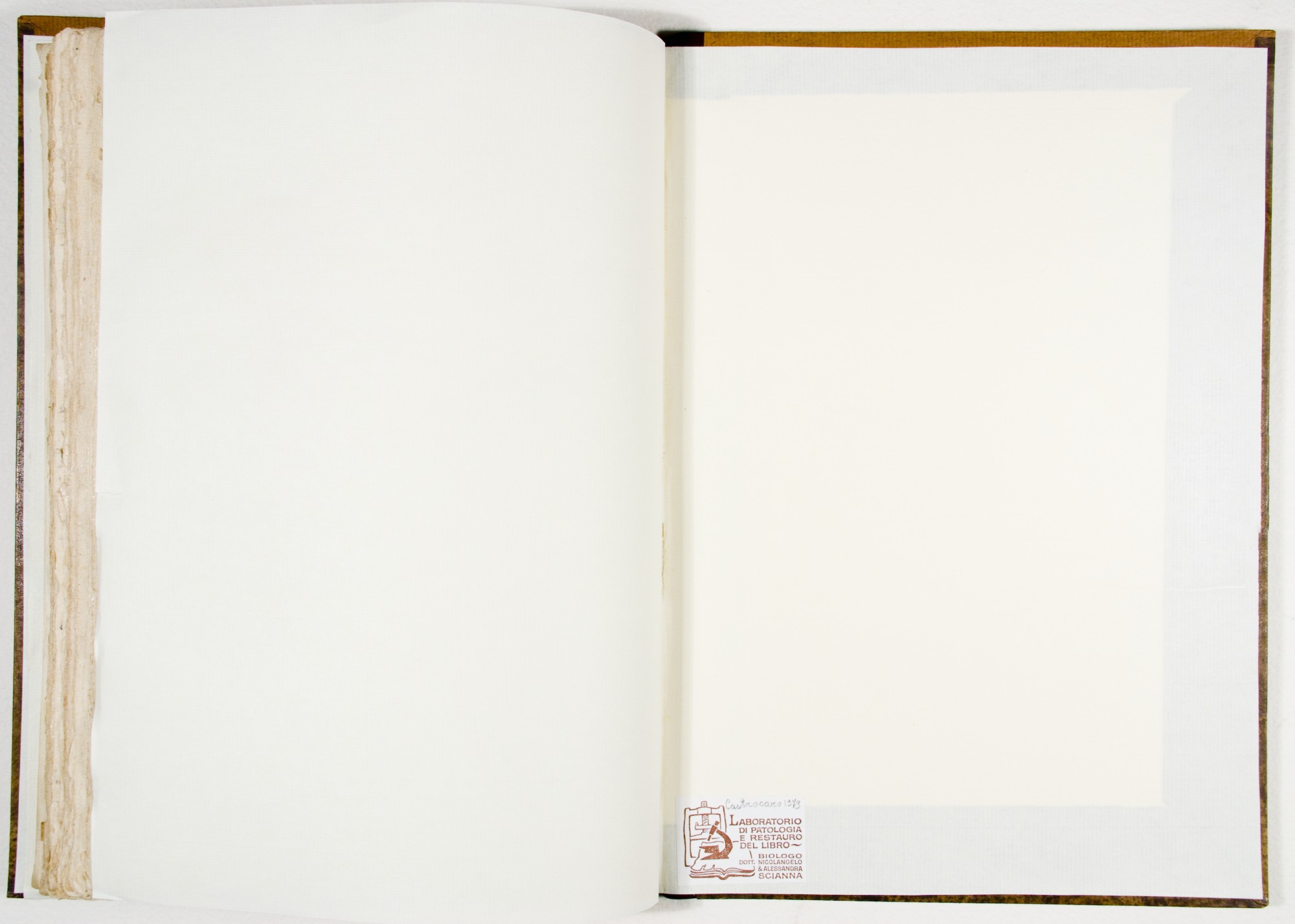 Pagg. controguardia piatto posteriore