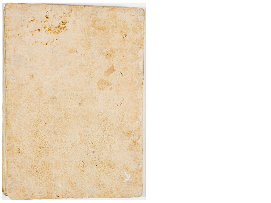 Pag. piatto posteriore