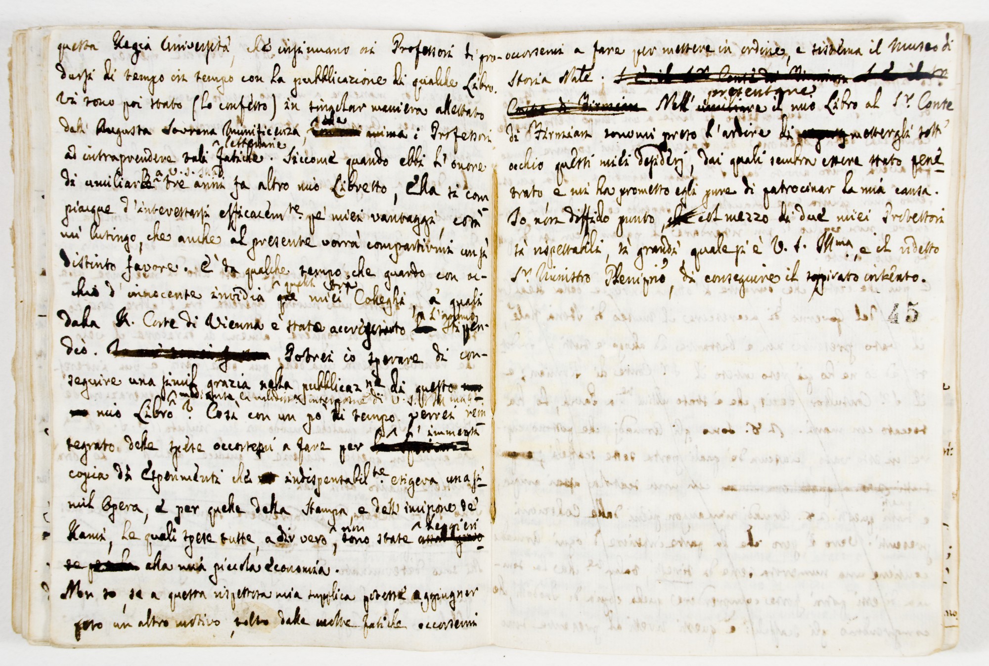Pag. 45