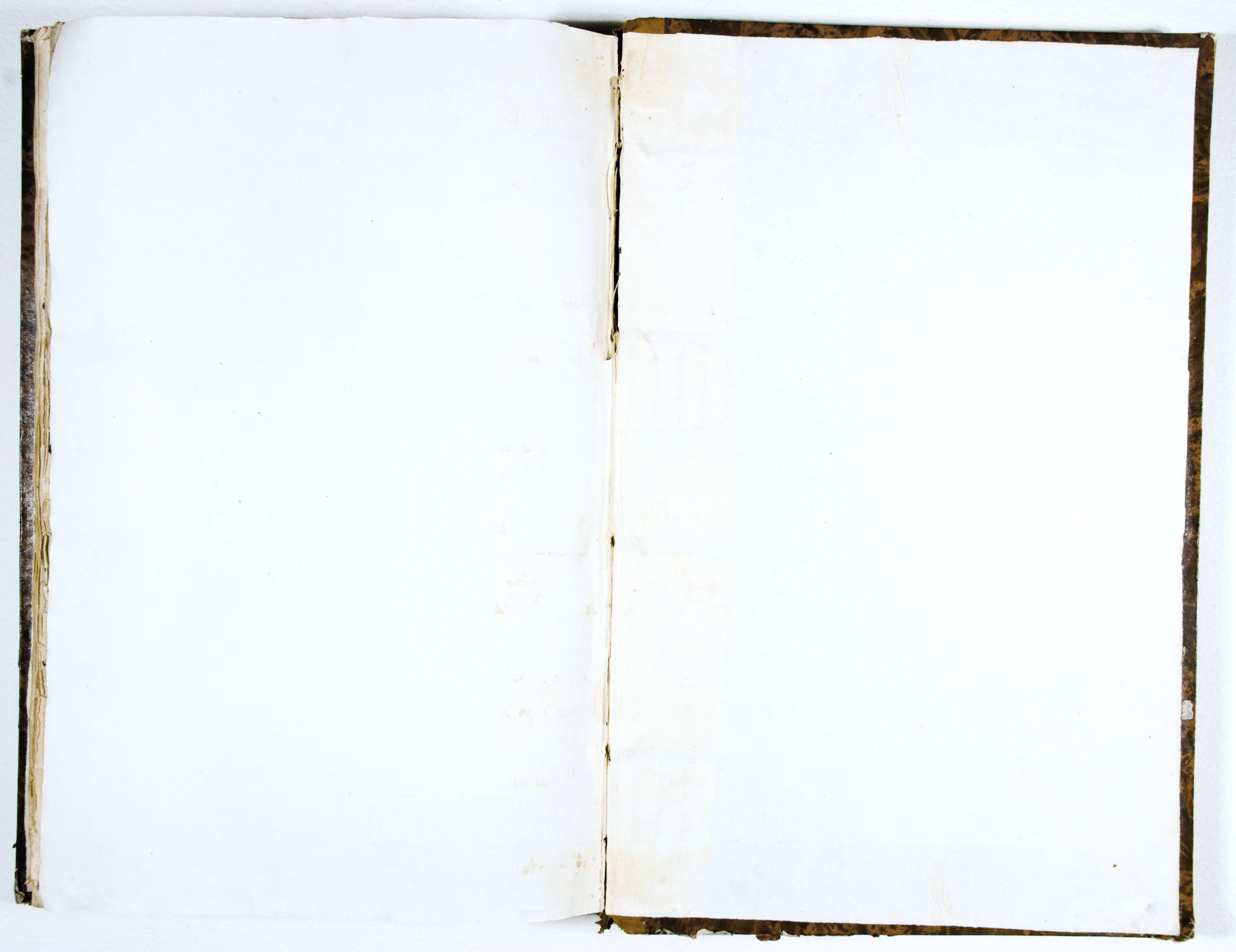 Pagg. controguardia piatto posteriore