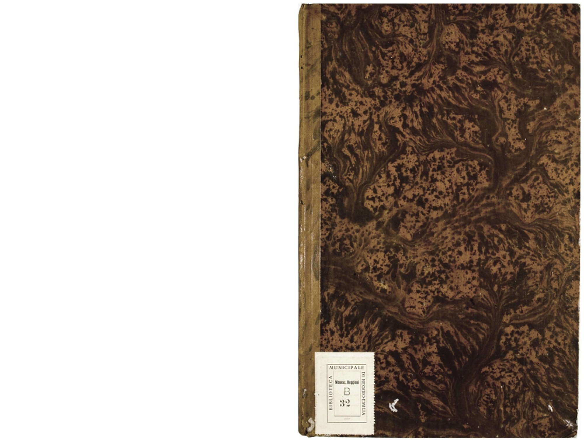 Pagg. piatto,anteriore