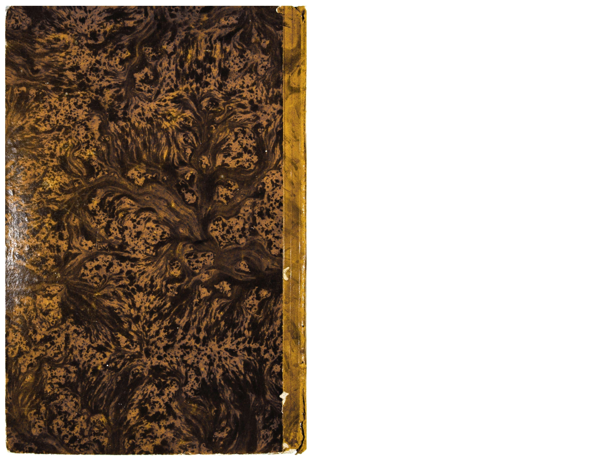 Pagg. piatto posteriore