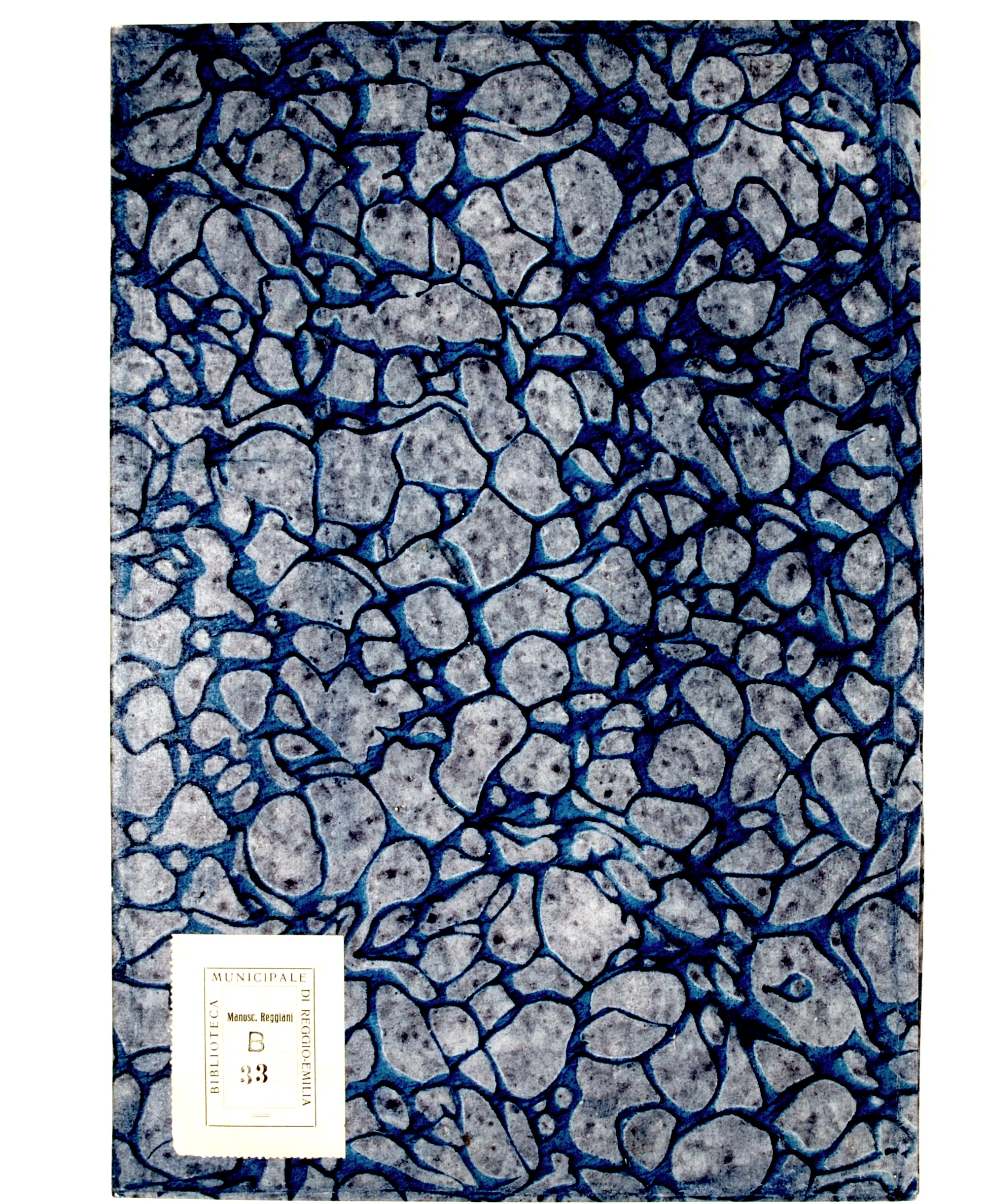 Pag. piatto anteriore