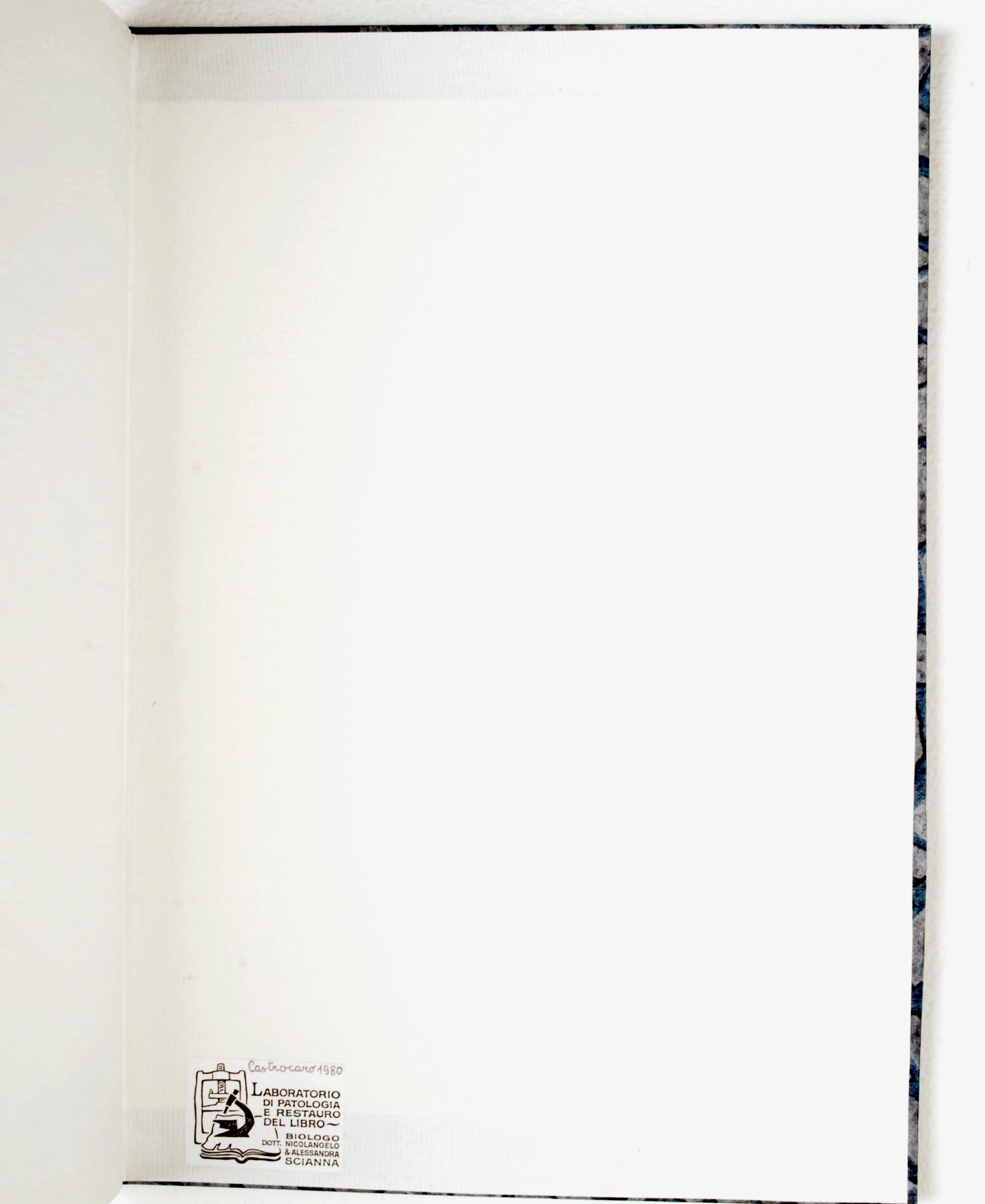 Pag. controguardia piatto posteriore