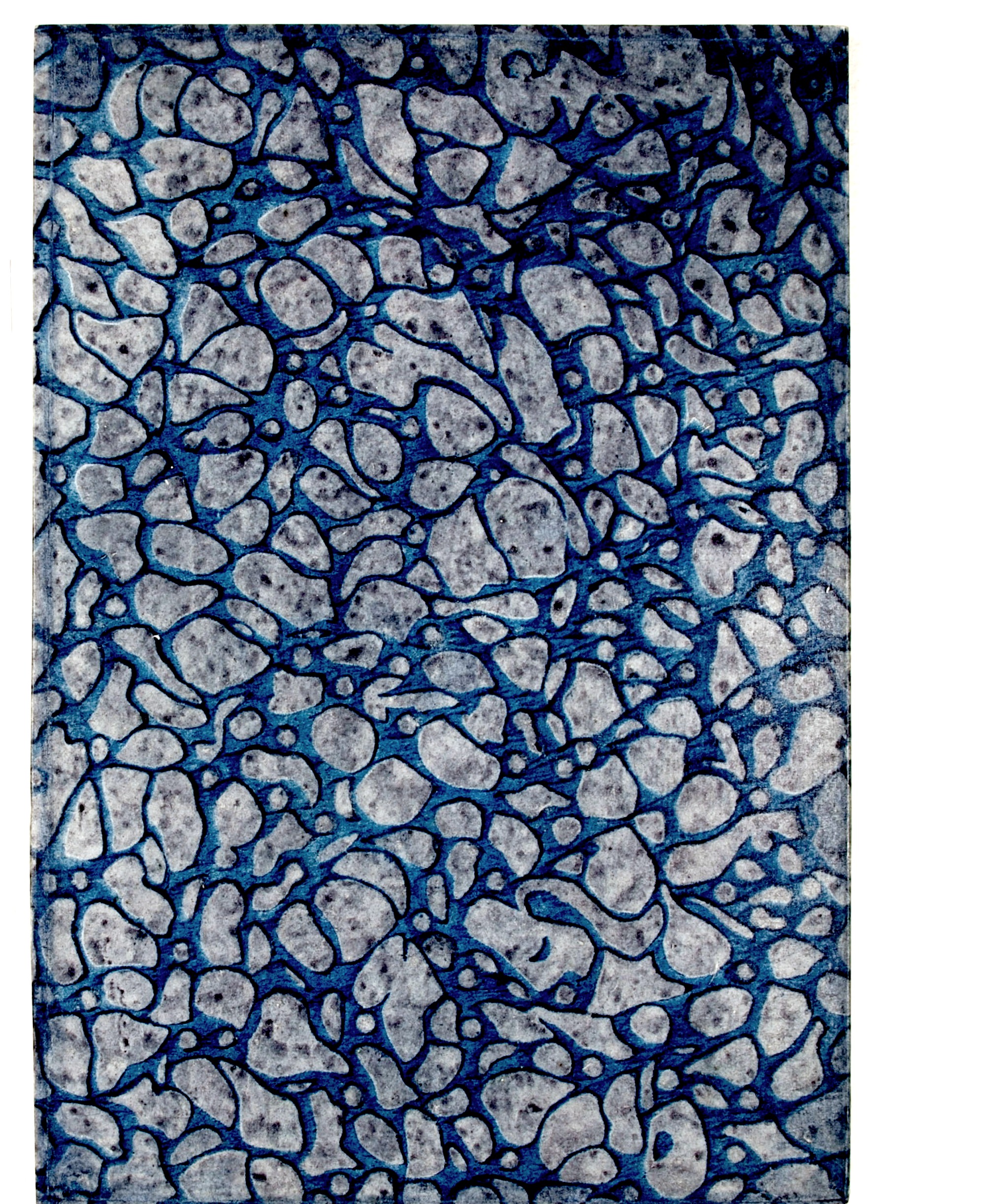 Pag. piatto posteriore