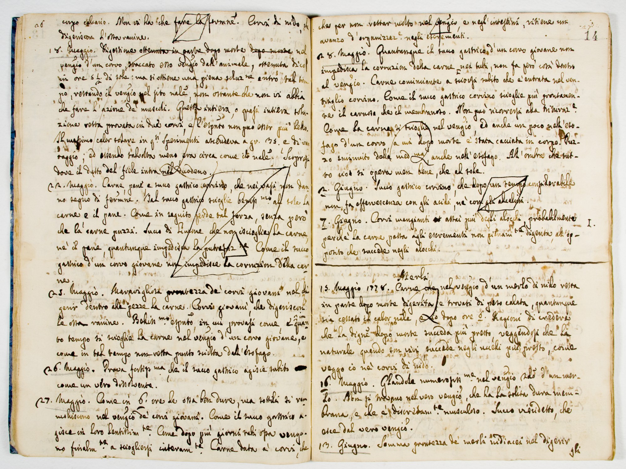 Pag. 14