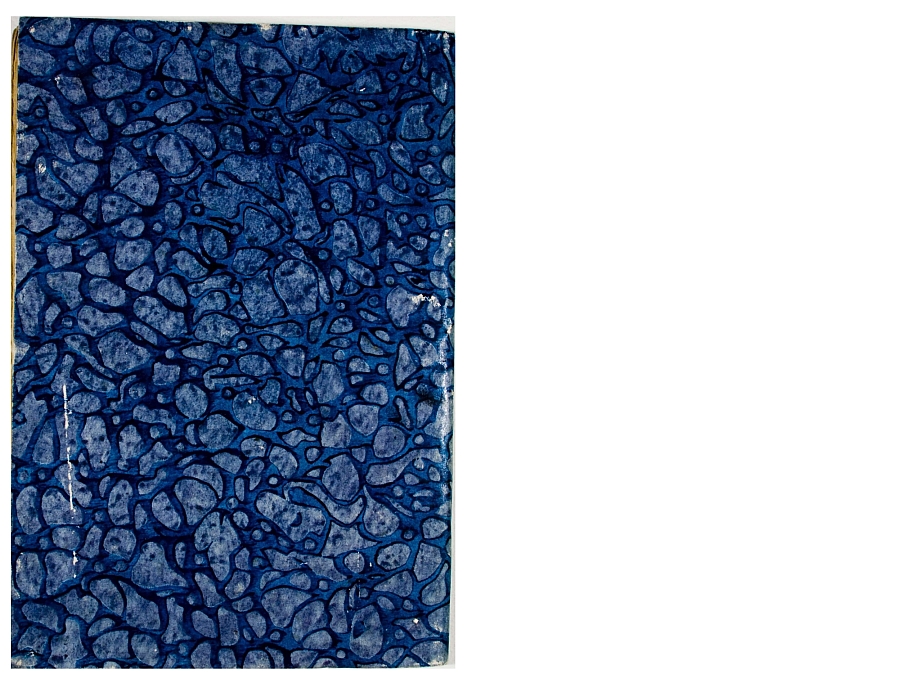 Pag. piatto posteriore