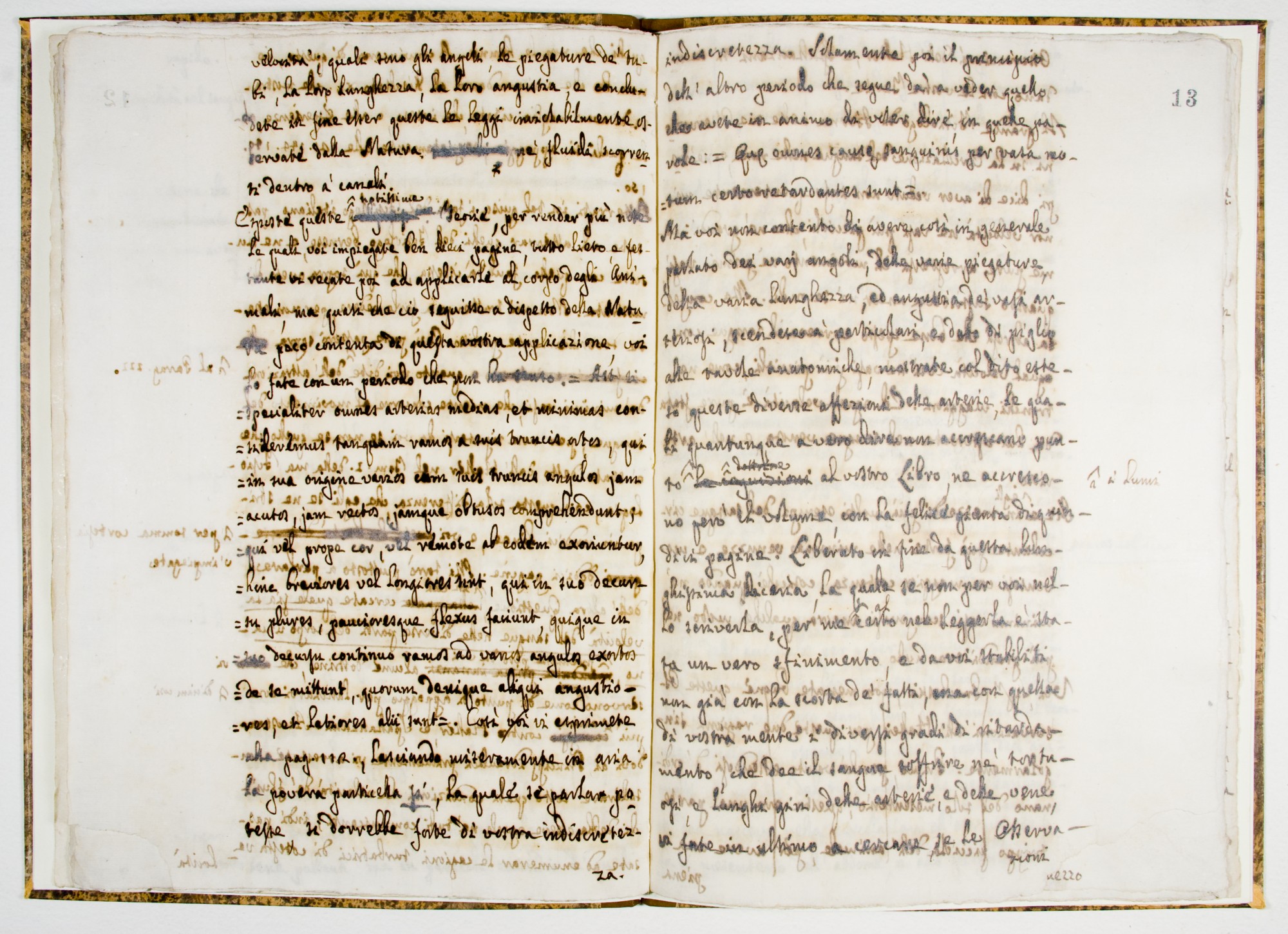 Pag. 13