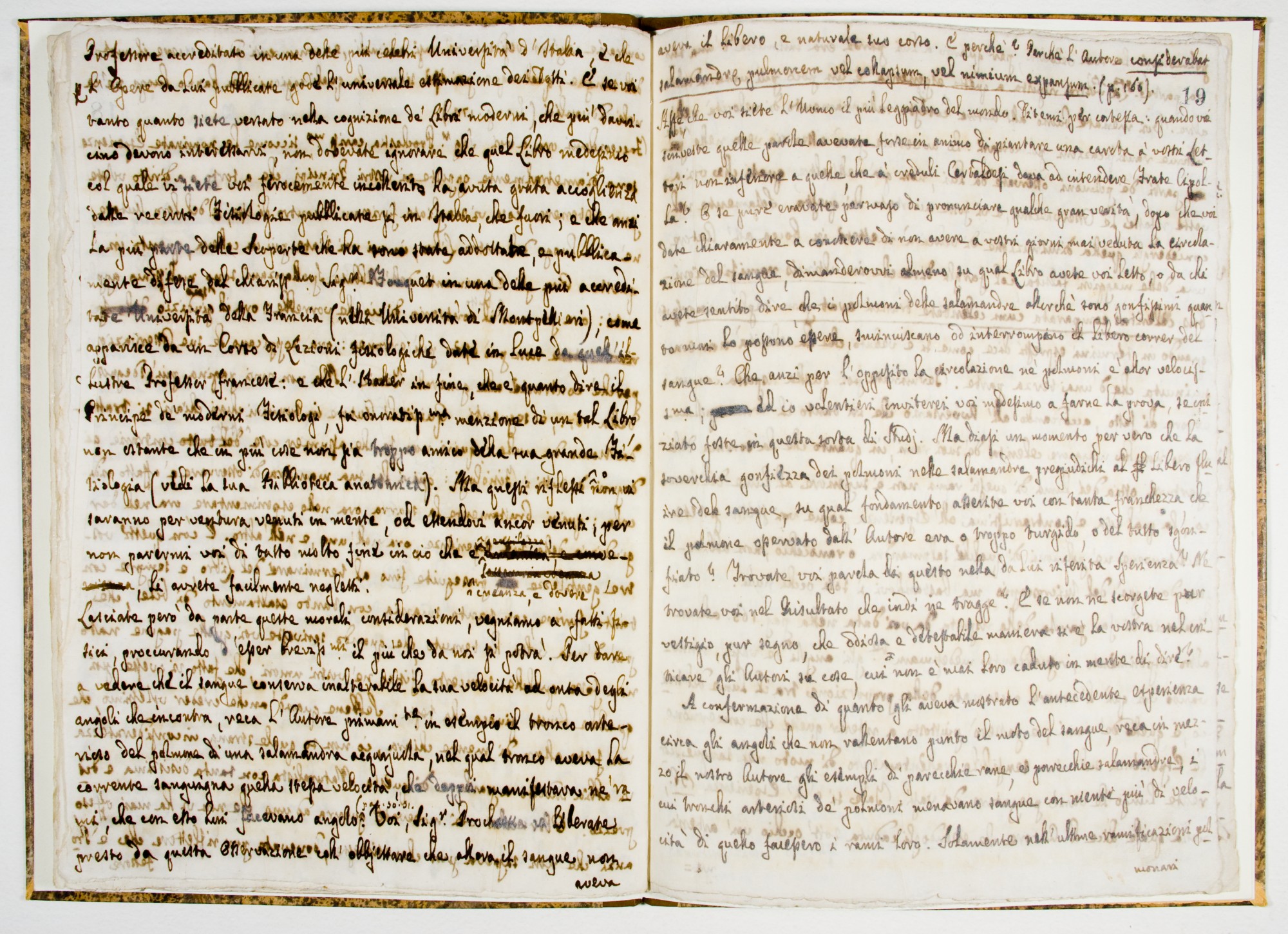 Pag. 19