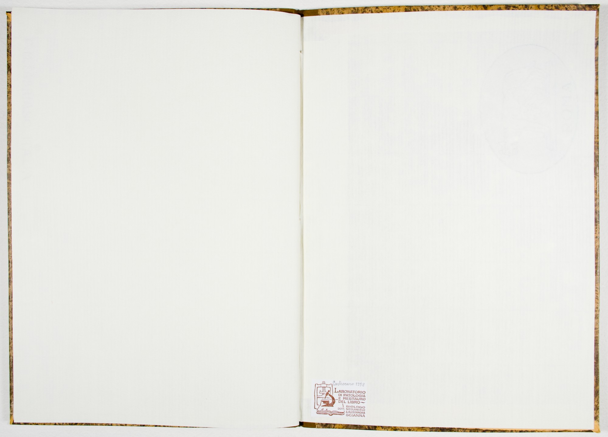 Pag. controguardia piatto posteriore