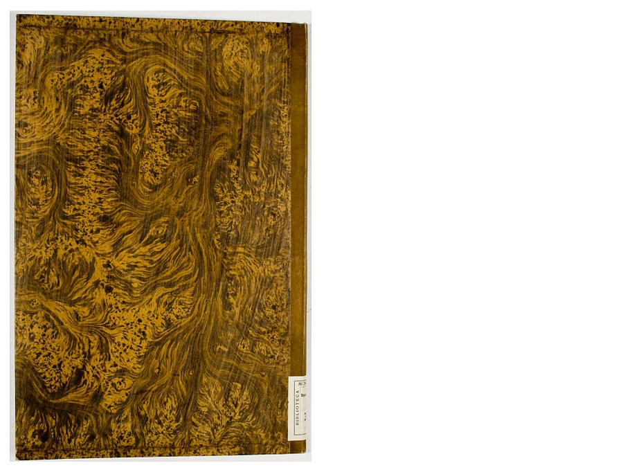 Pag. piatto posteriore