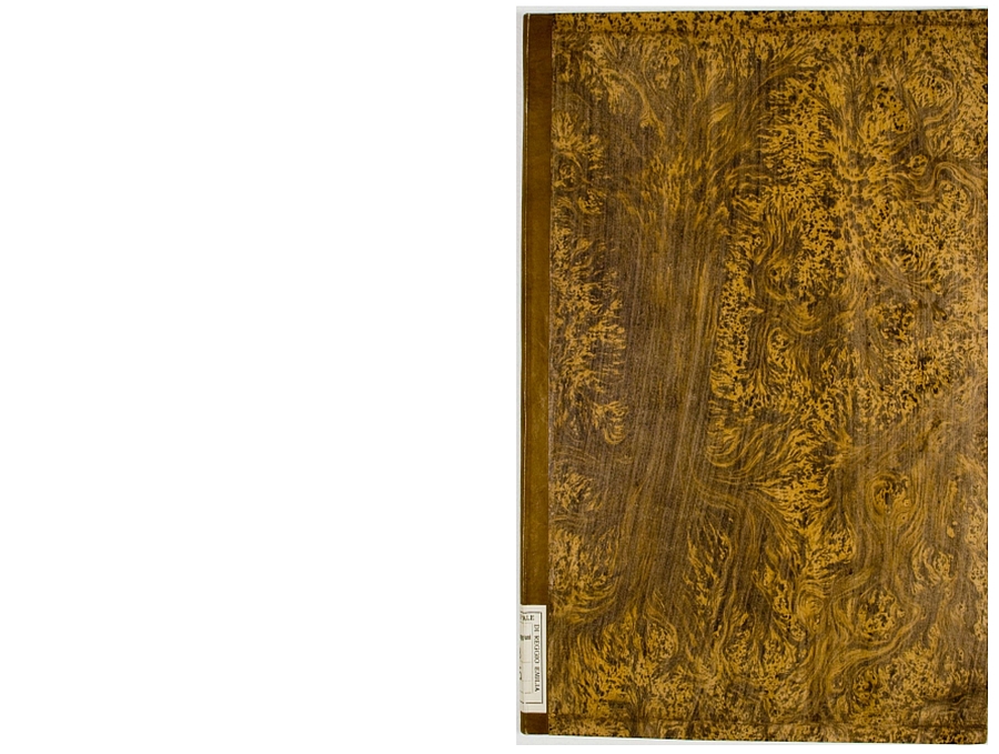 Pag. piatto anteriore