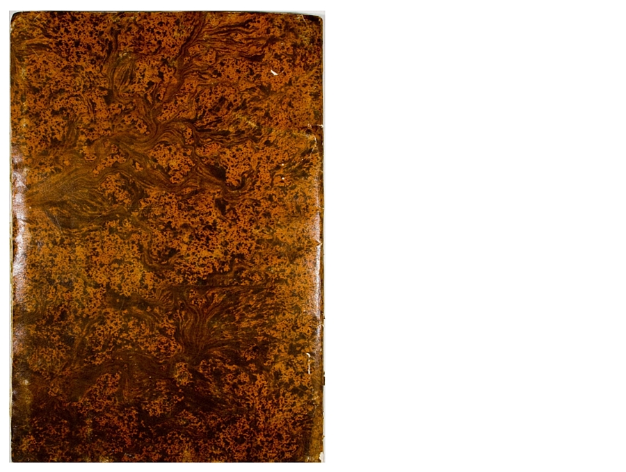 Pag. piatto posteriore