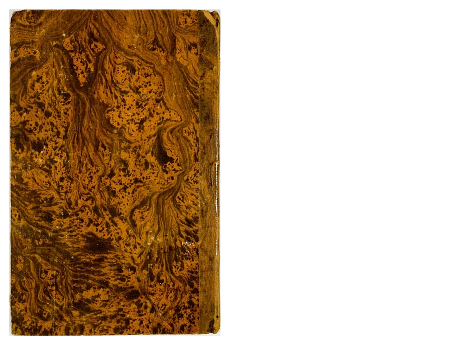 Pag. piatto posteriore