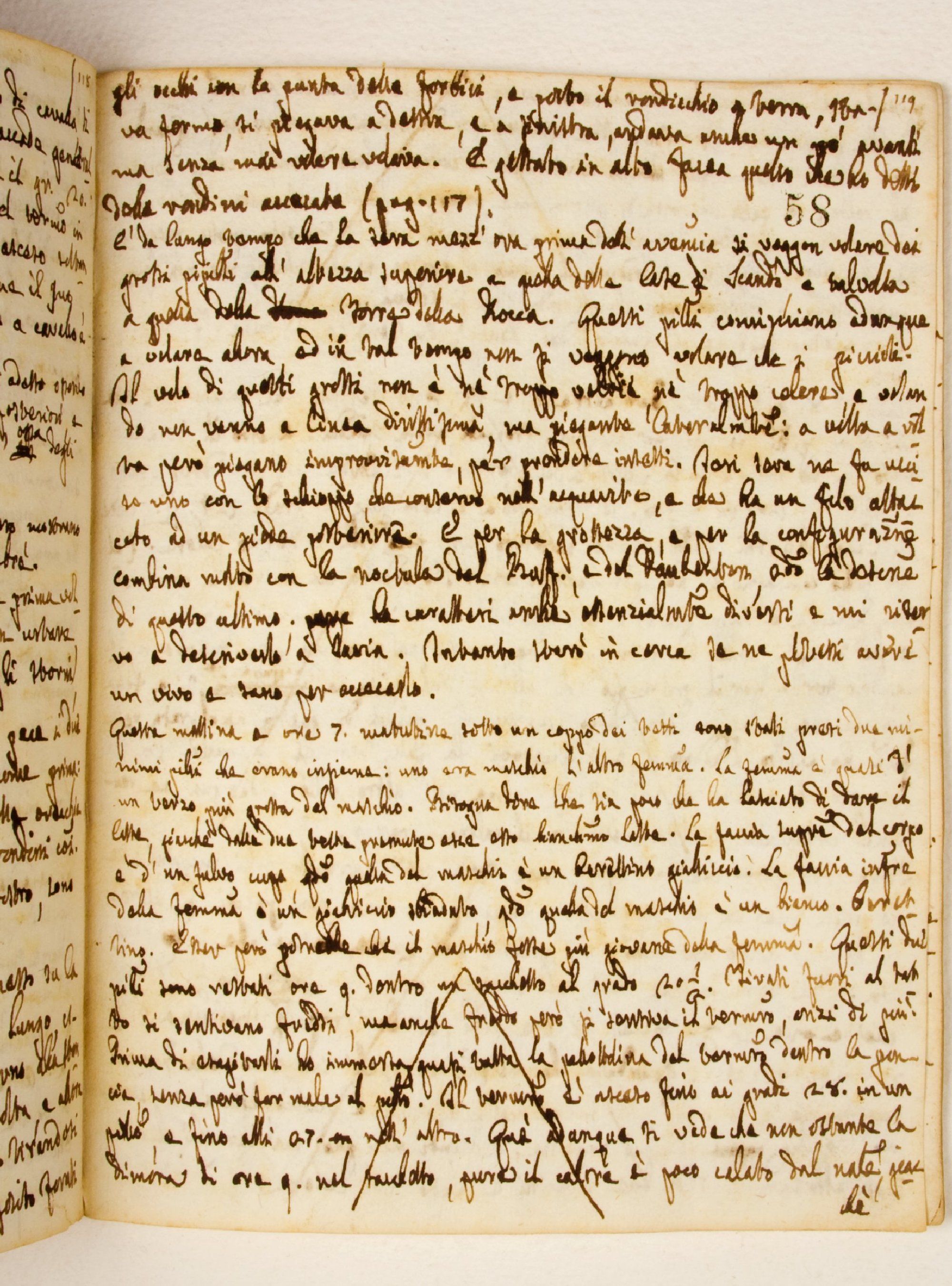Pag. 58r