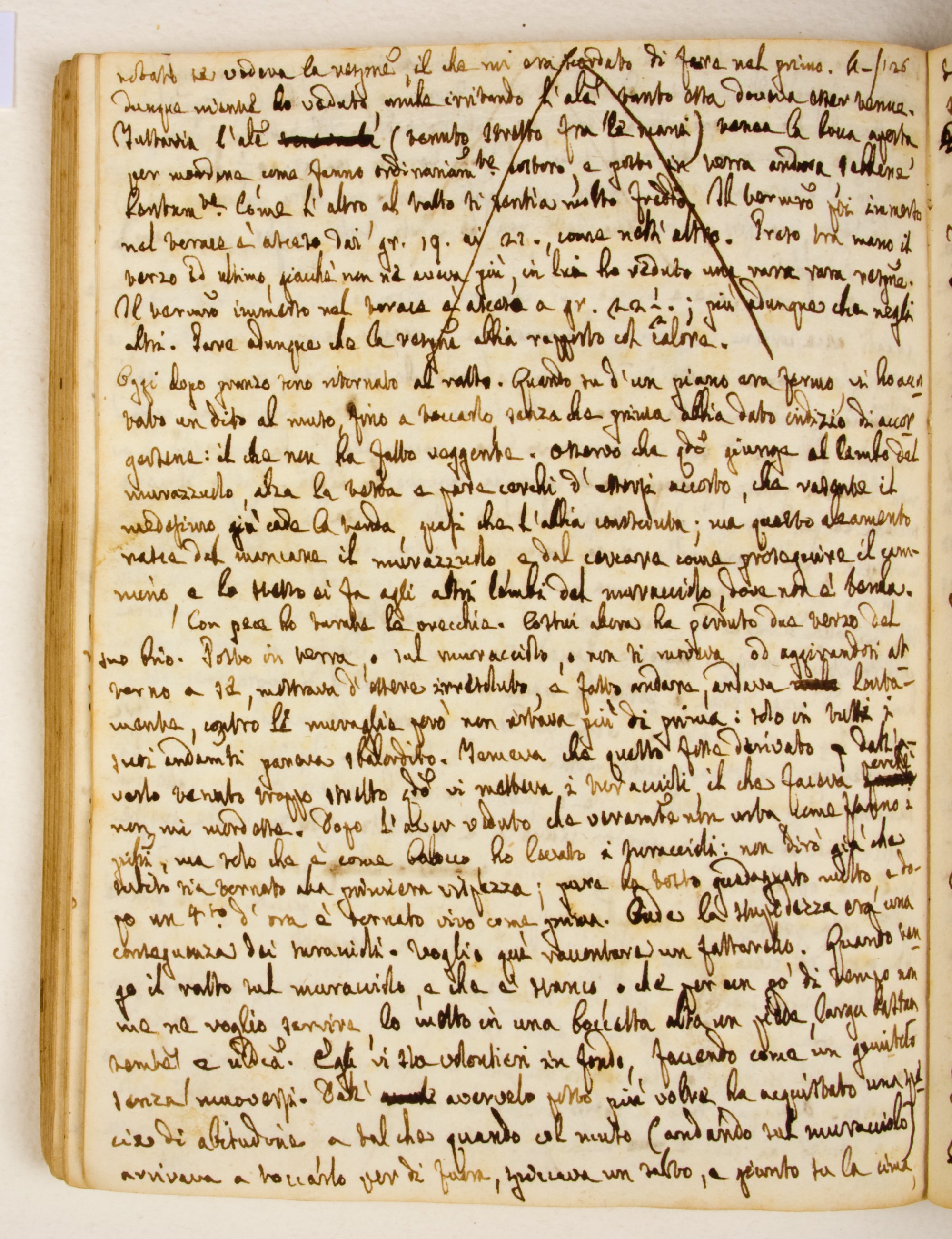 Pag. 61v