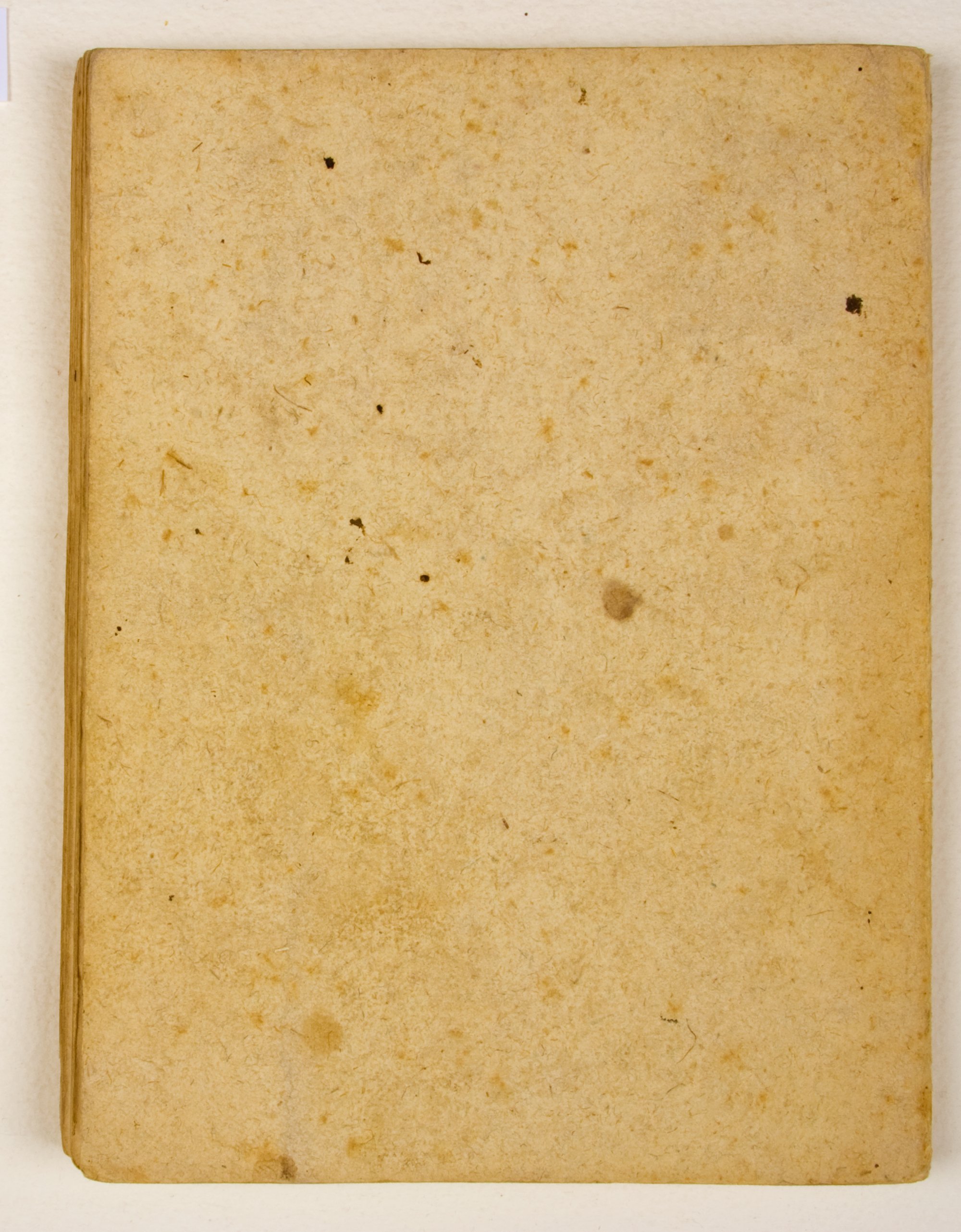 Pag. piatto posteriore