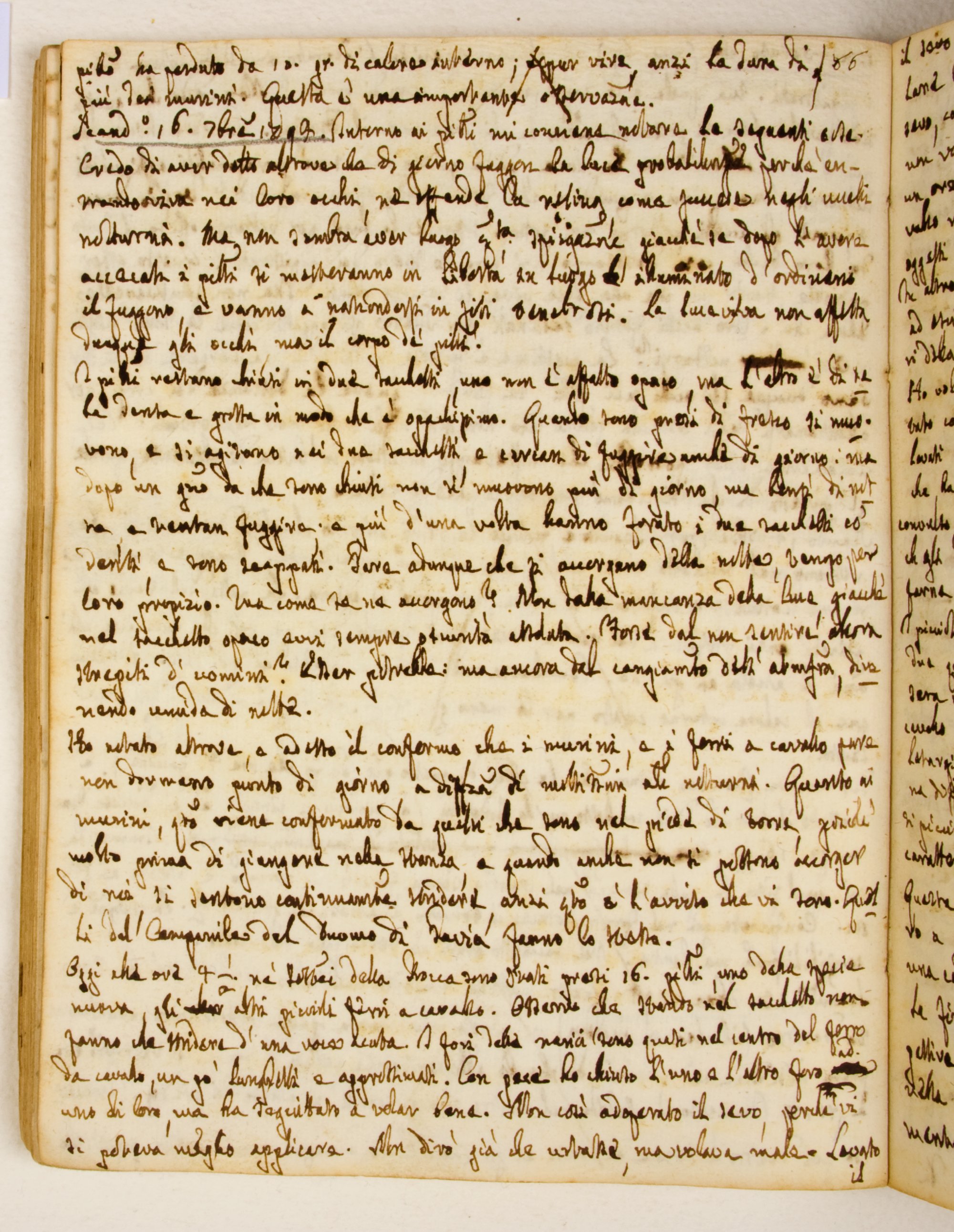 Pag. 43v