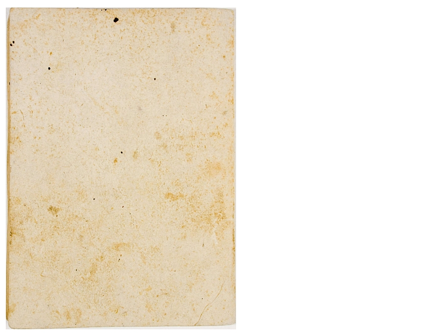 Pag. piatto posteriore