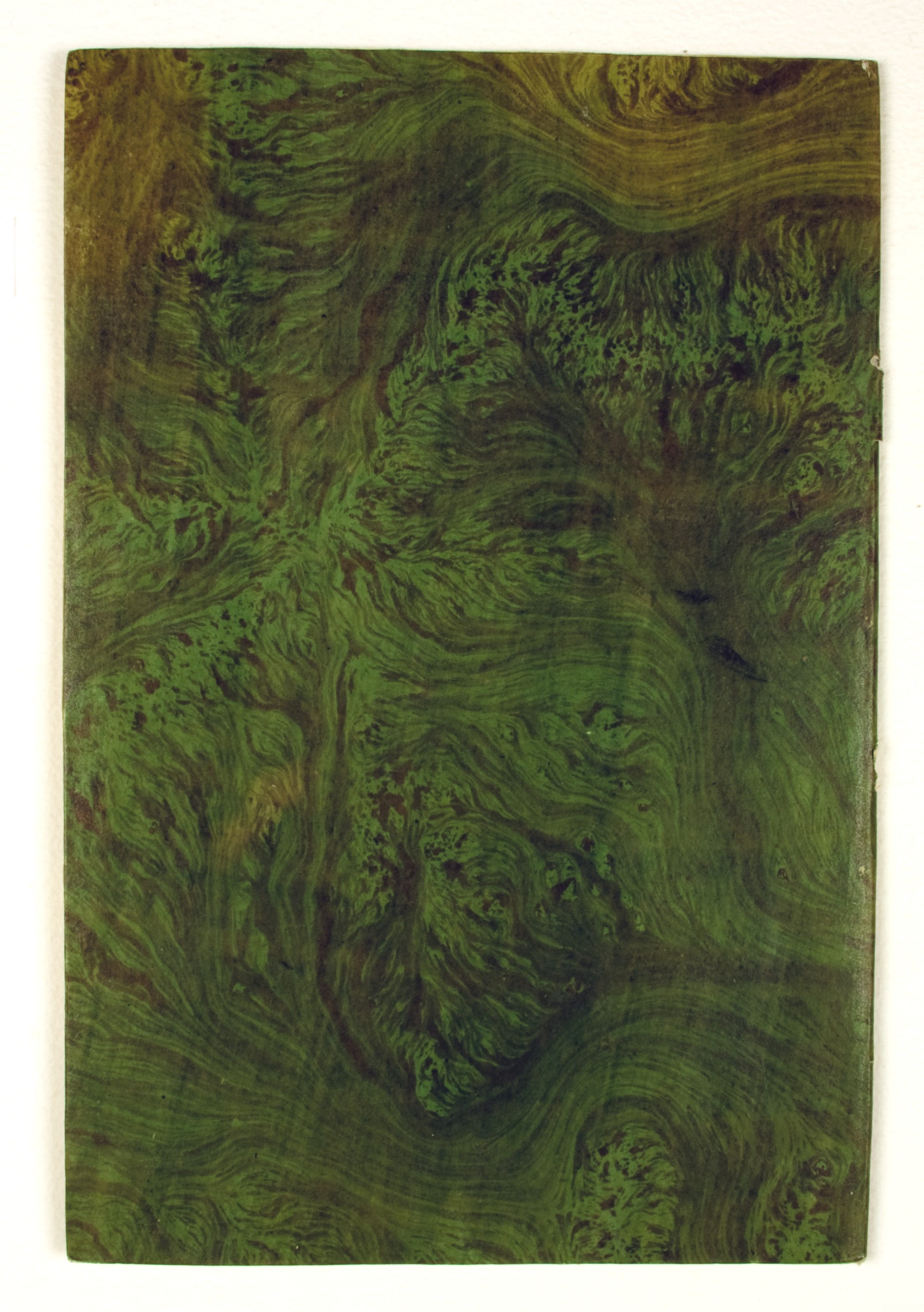 Pag. piatto posteriore