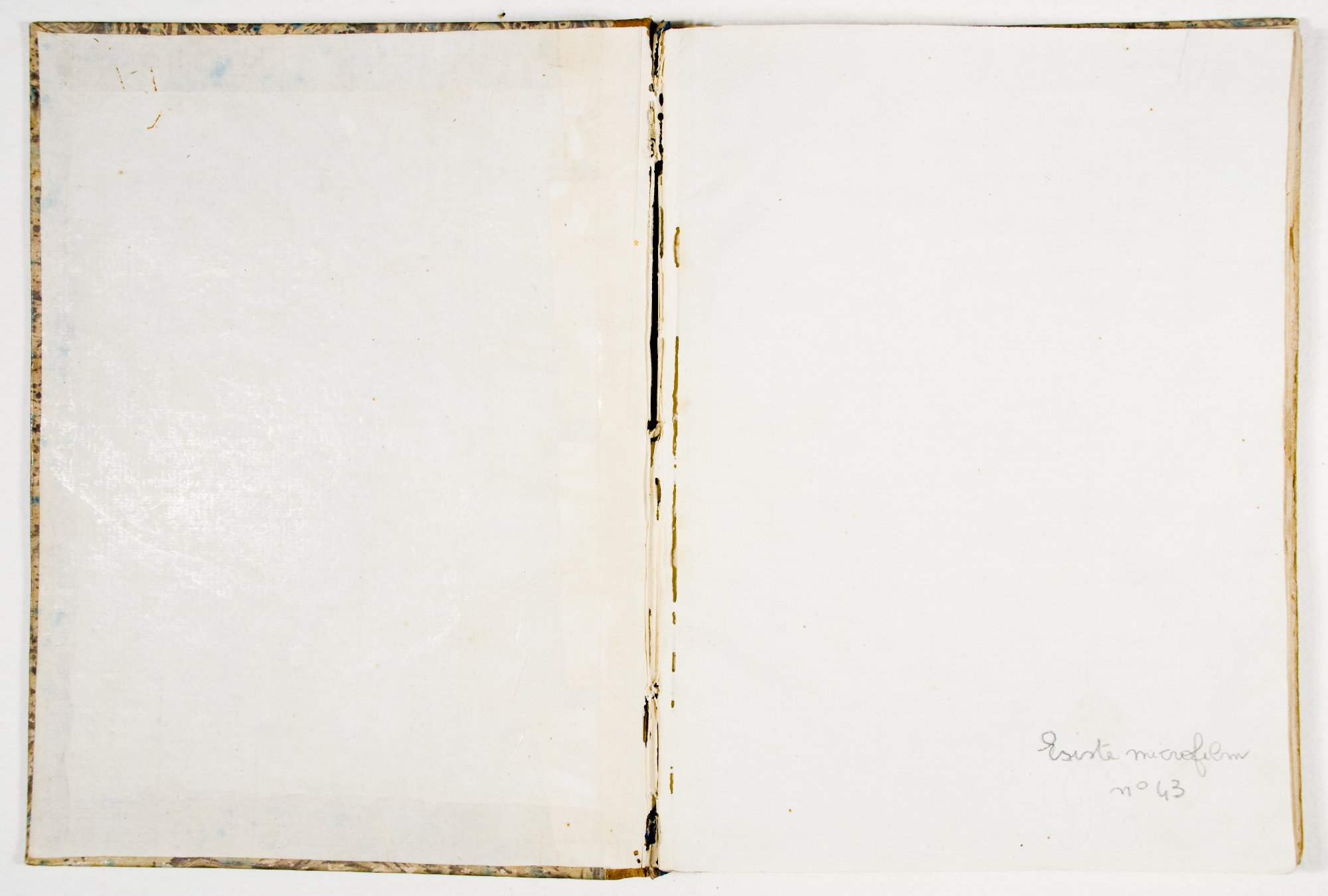 Pagg. controguardia piatto anteriore