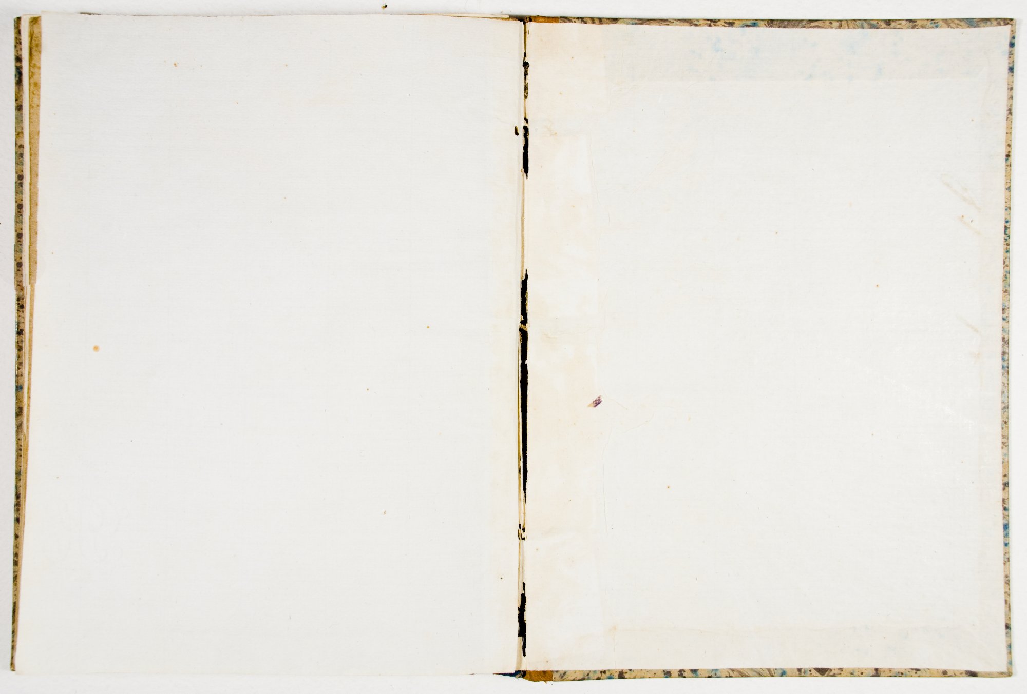 Pagg. controguardia piatto  posteriore