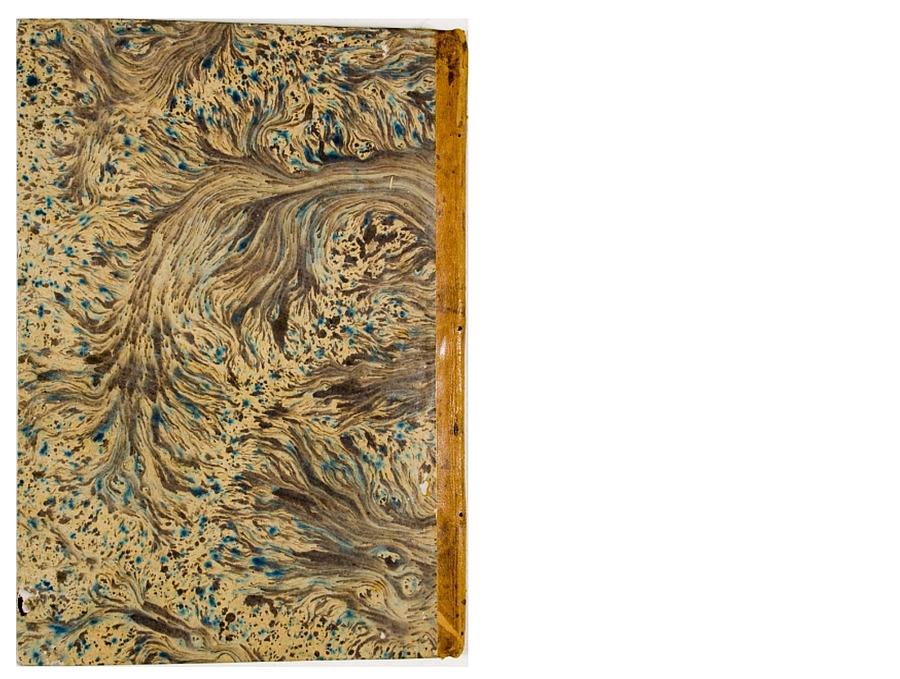 Pagg. piatto posteriore