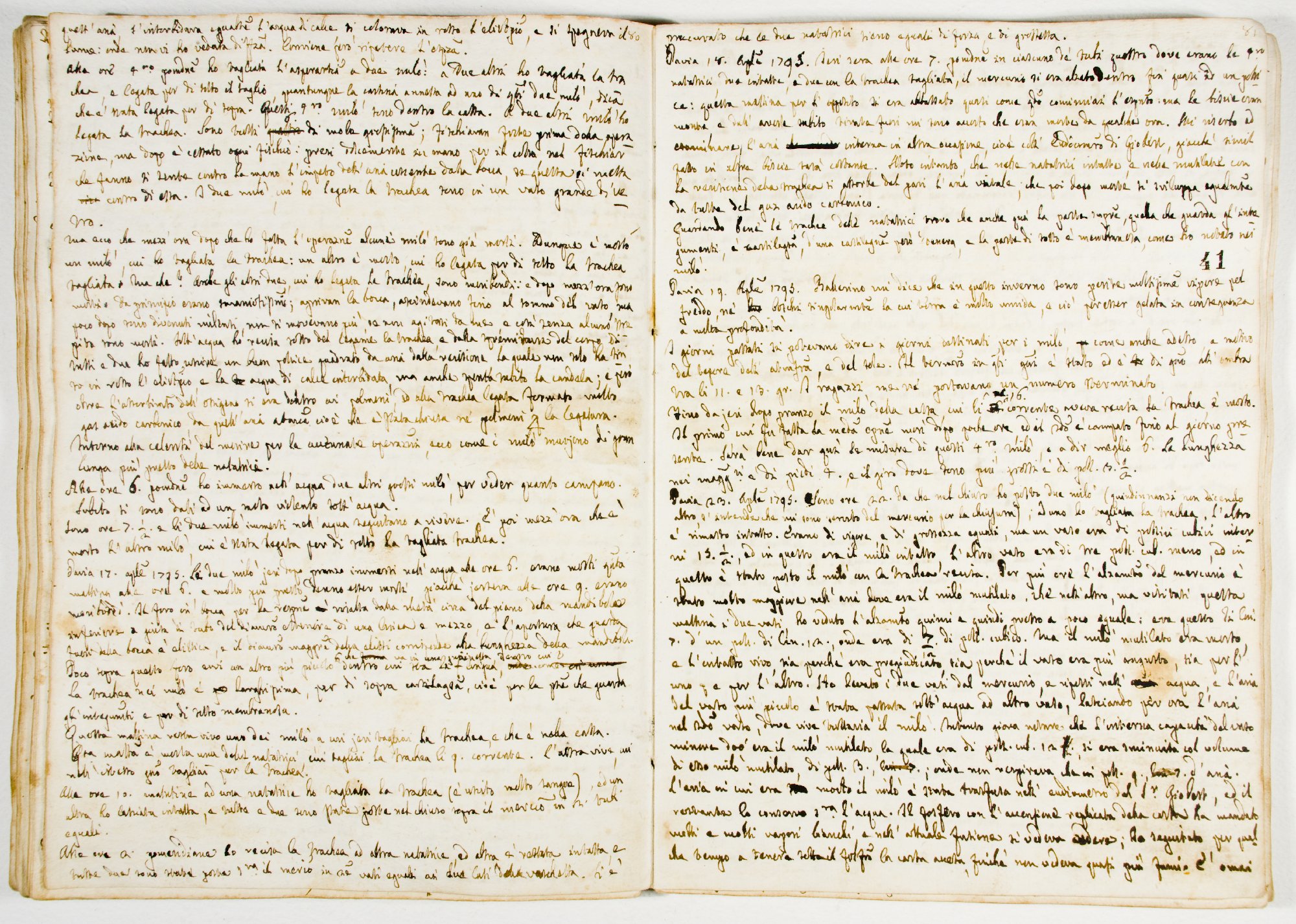Pag. 41