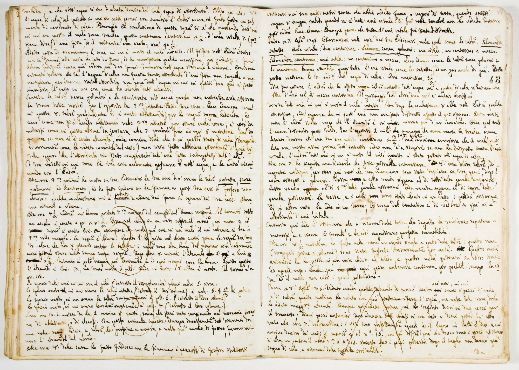 Pag. 43