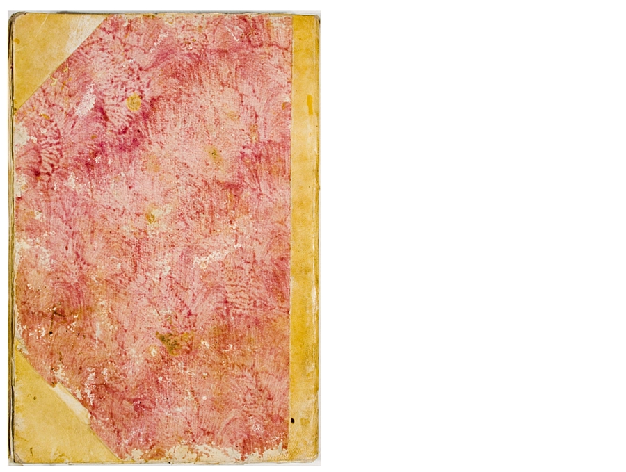 Pag. piatto posteriore