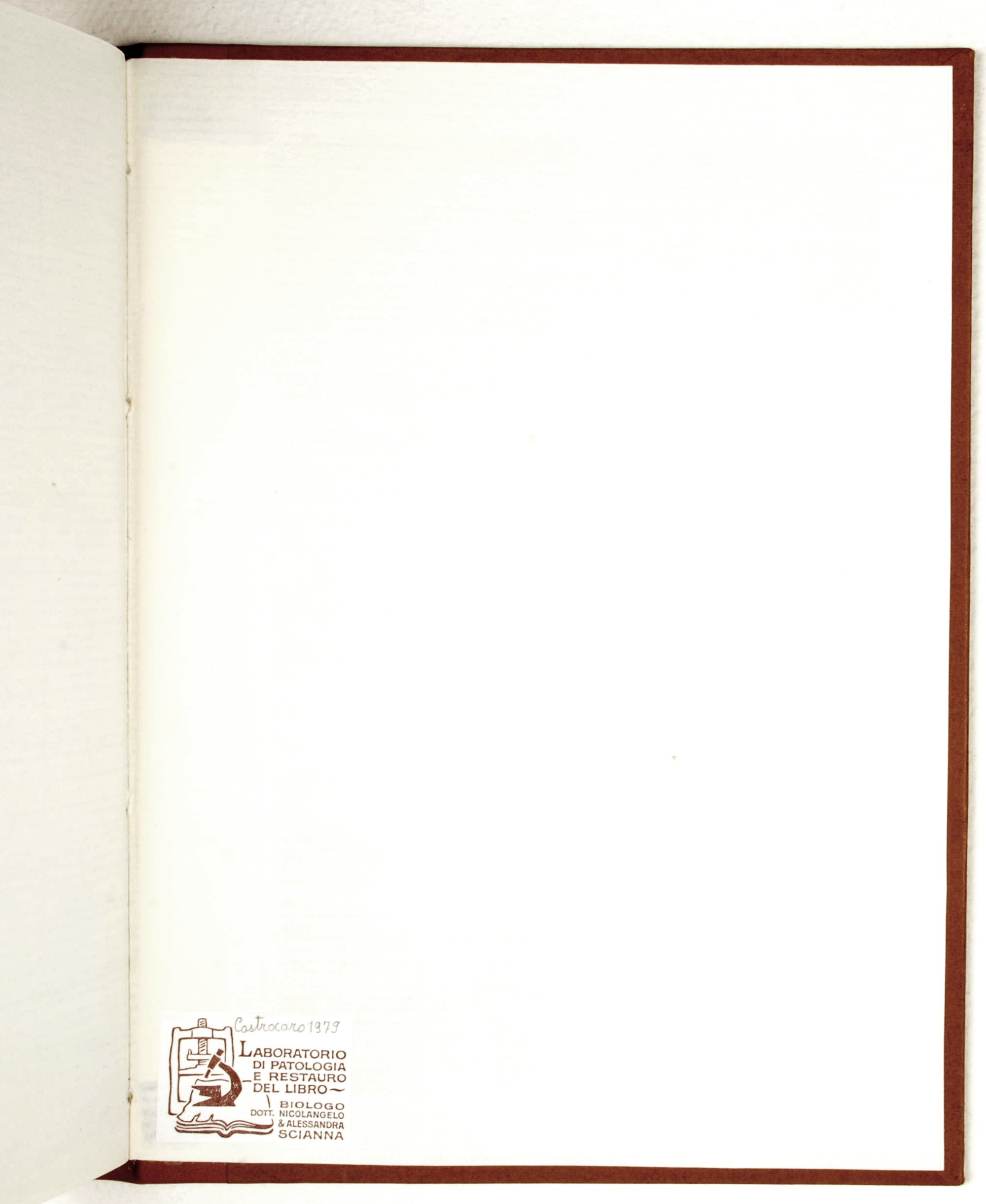 Pag. controguardia piatto posteriore