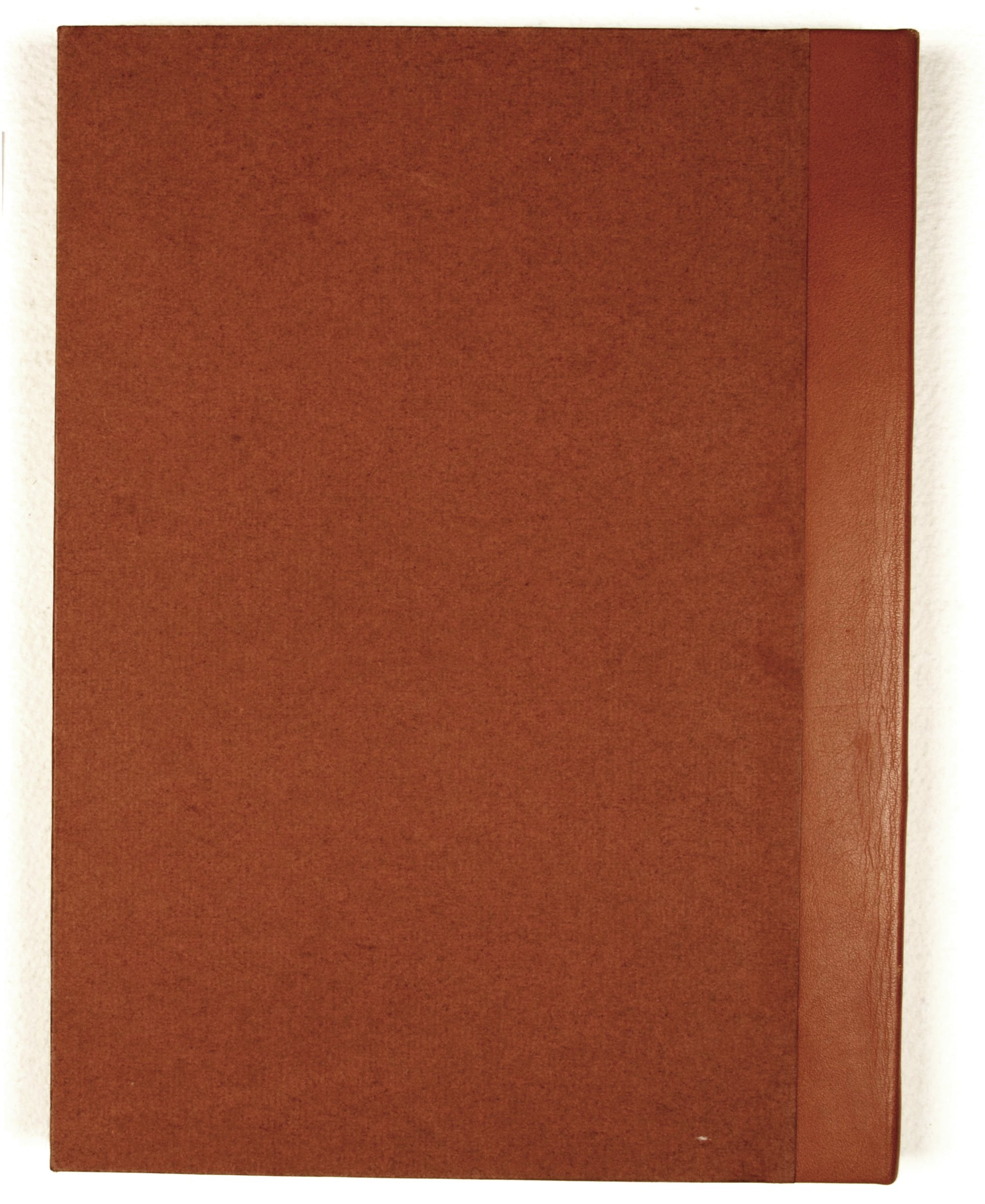 Pag. piatto posteriore